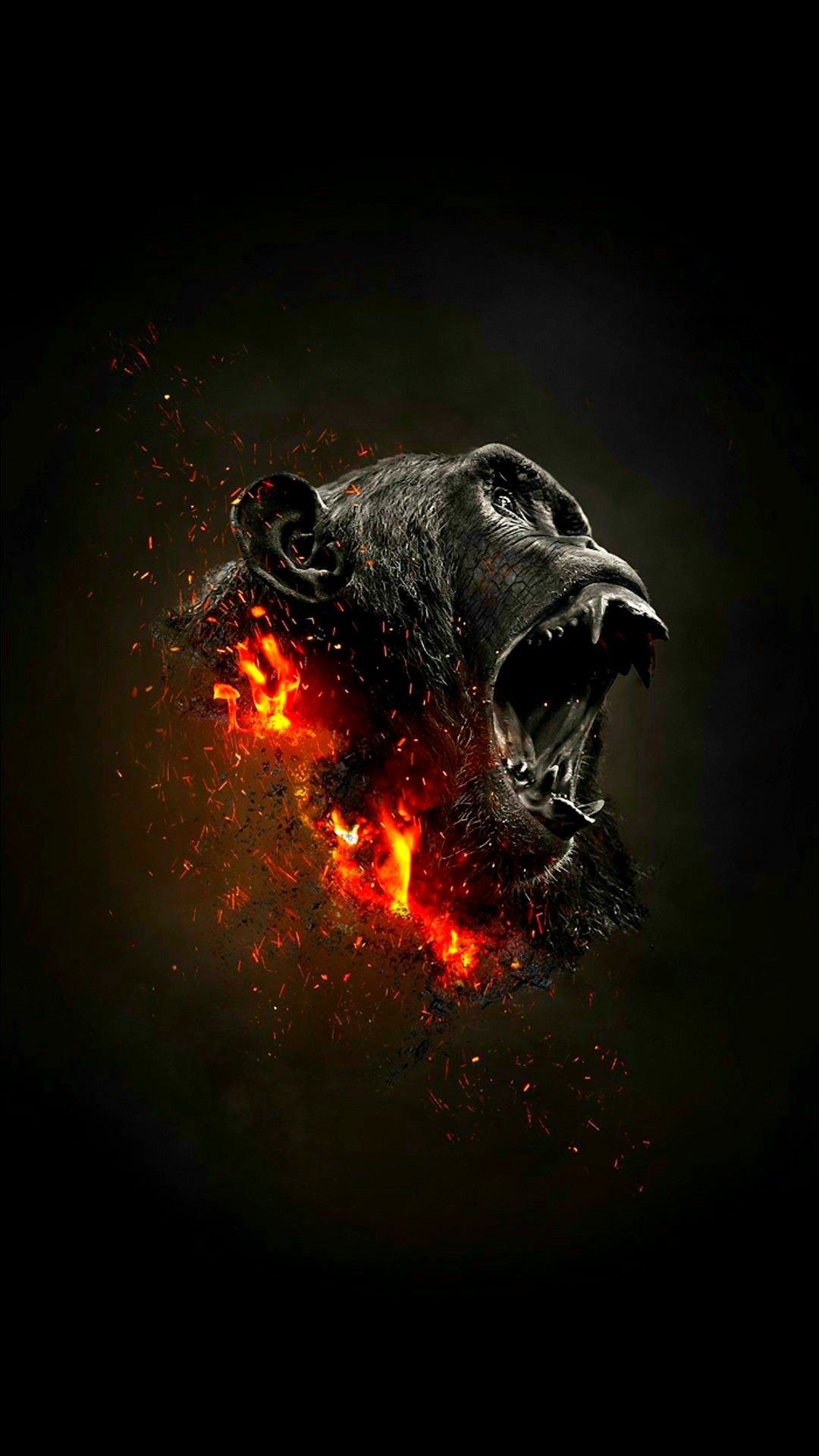 Download Angry Gorilla Wallpaper, HD Background Download