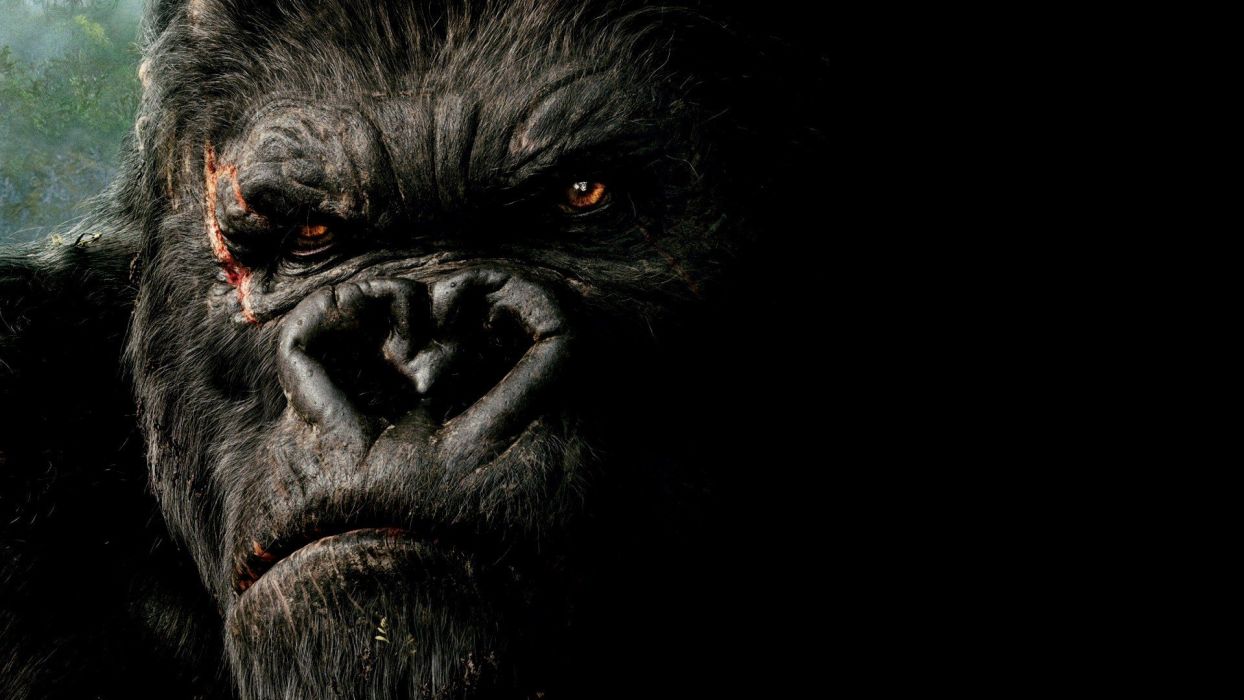 Gorilla Wallpaper