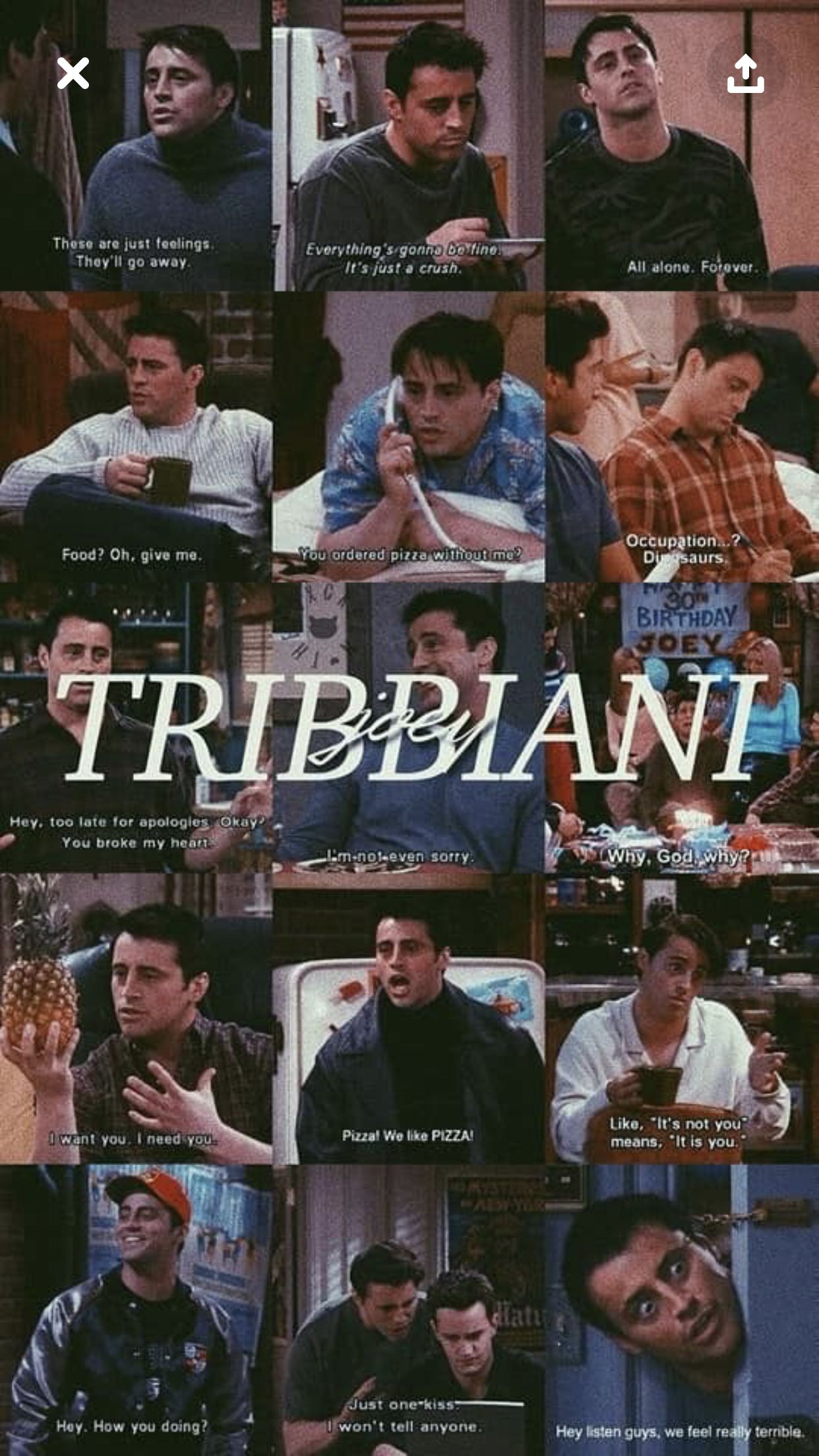 Friends Joey. Citações friends, Diálogos de filmes, Wallpaper de filmes