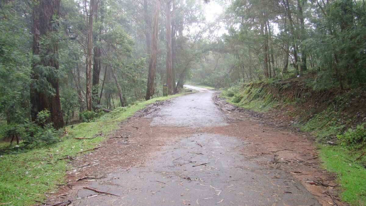 Beautiful, HD, Morning, View, Wallpaper, Desktop Wallpaper, HD Free Photo, Cool, Home Image, Healthy Life, Country Houses, High Resolution, Windows Desktop Image, 1920x1080