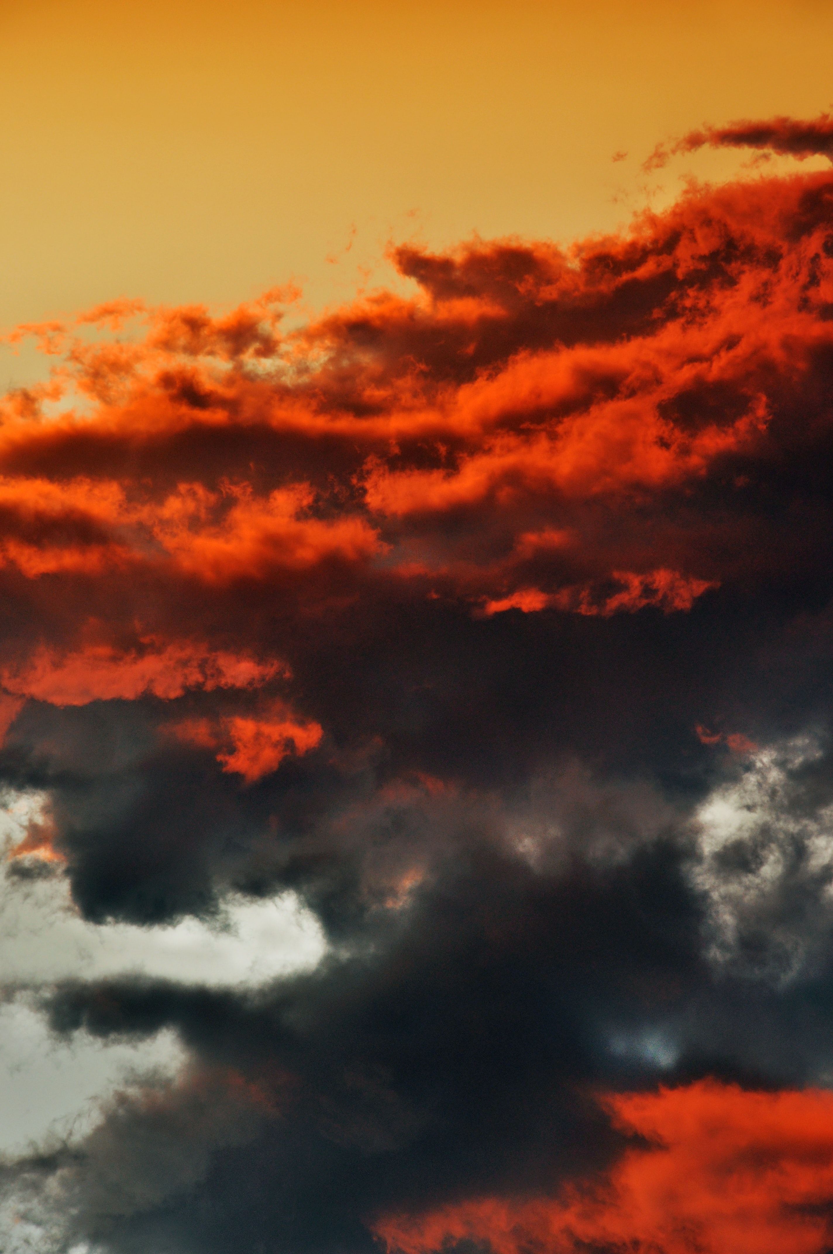 red and black clouds photo