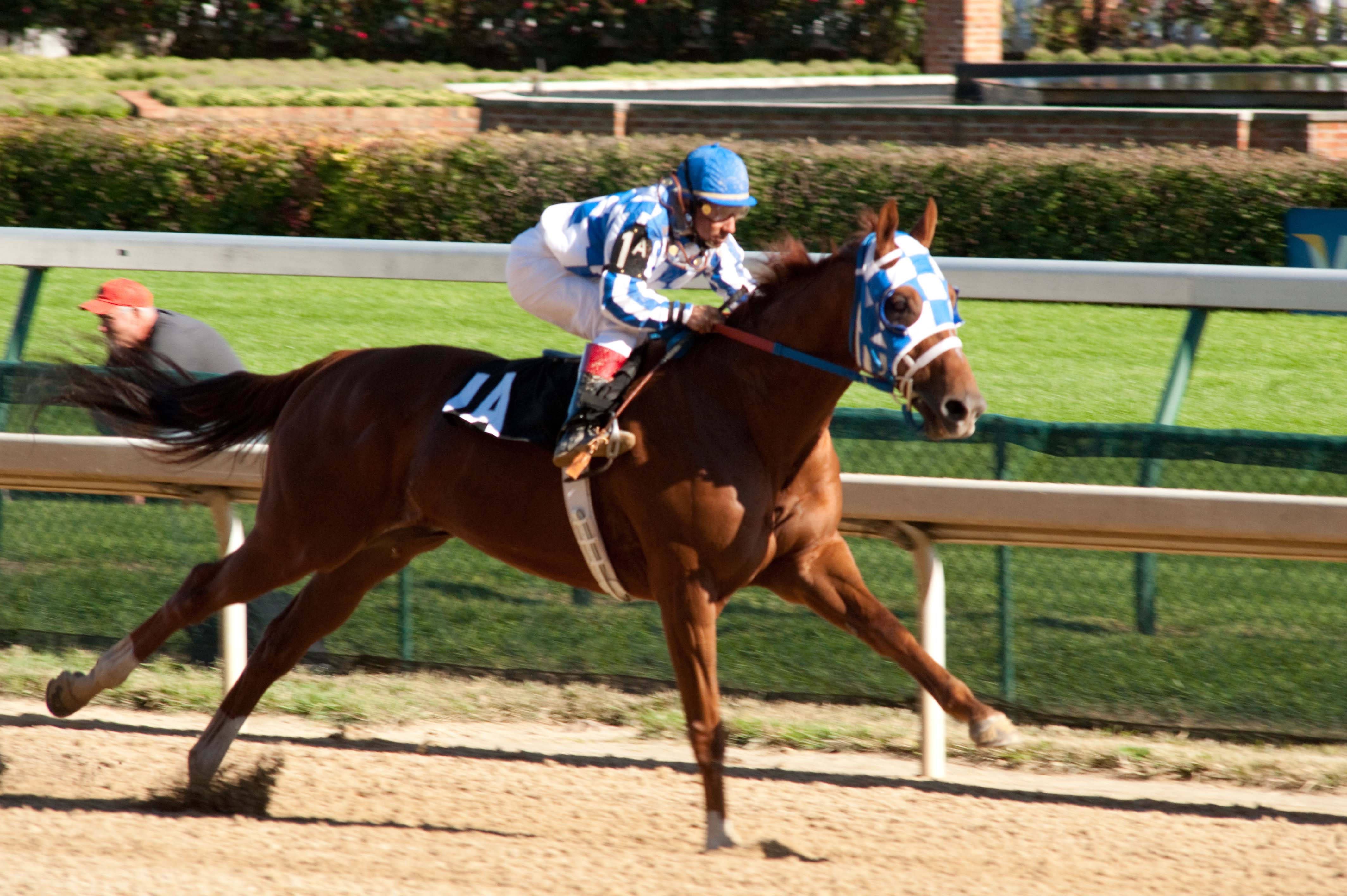 Secretariat Pictures For Sale