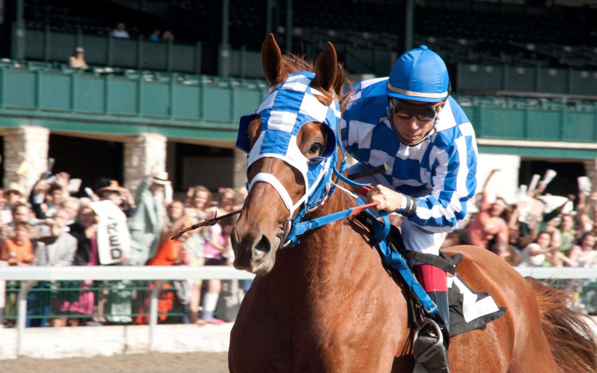 Secretariat Wallpapers - Wallpaper Cave