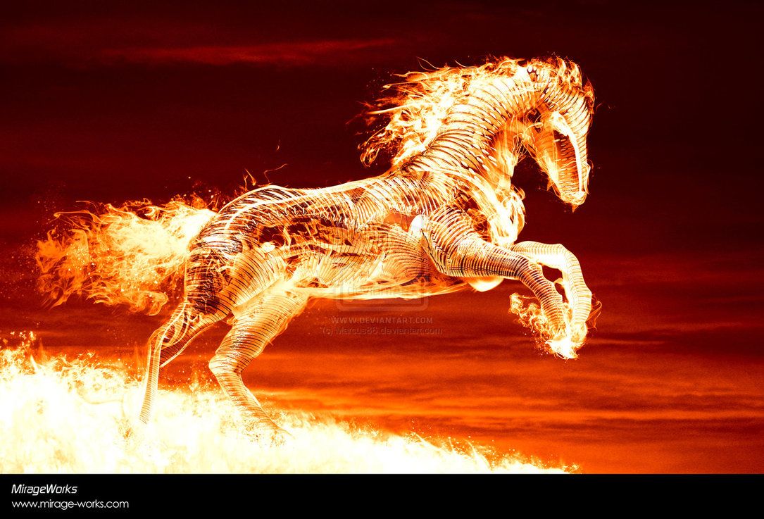 Horse Made Of Fire HD Wallpaper