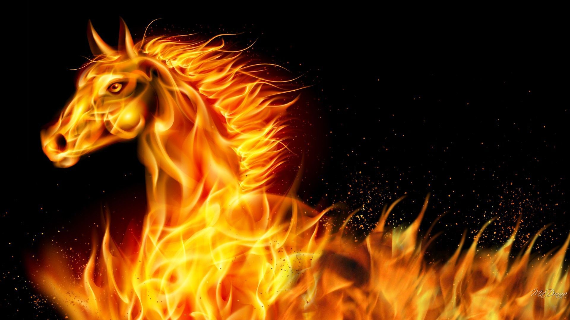 Horses Flaming Horse Flames Year Hot 2014 Abstract New Bright Free
