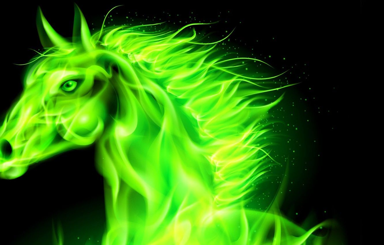 Fire Horse Wallpaper HD