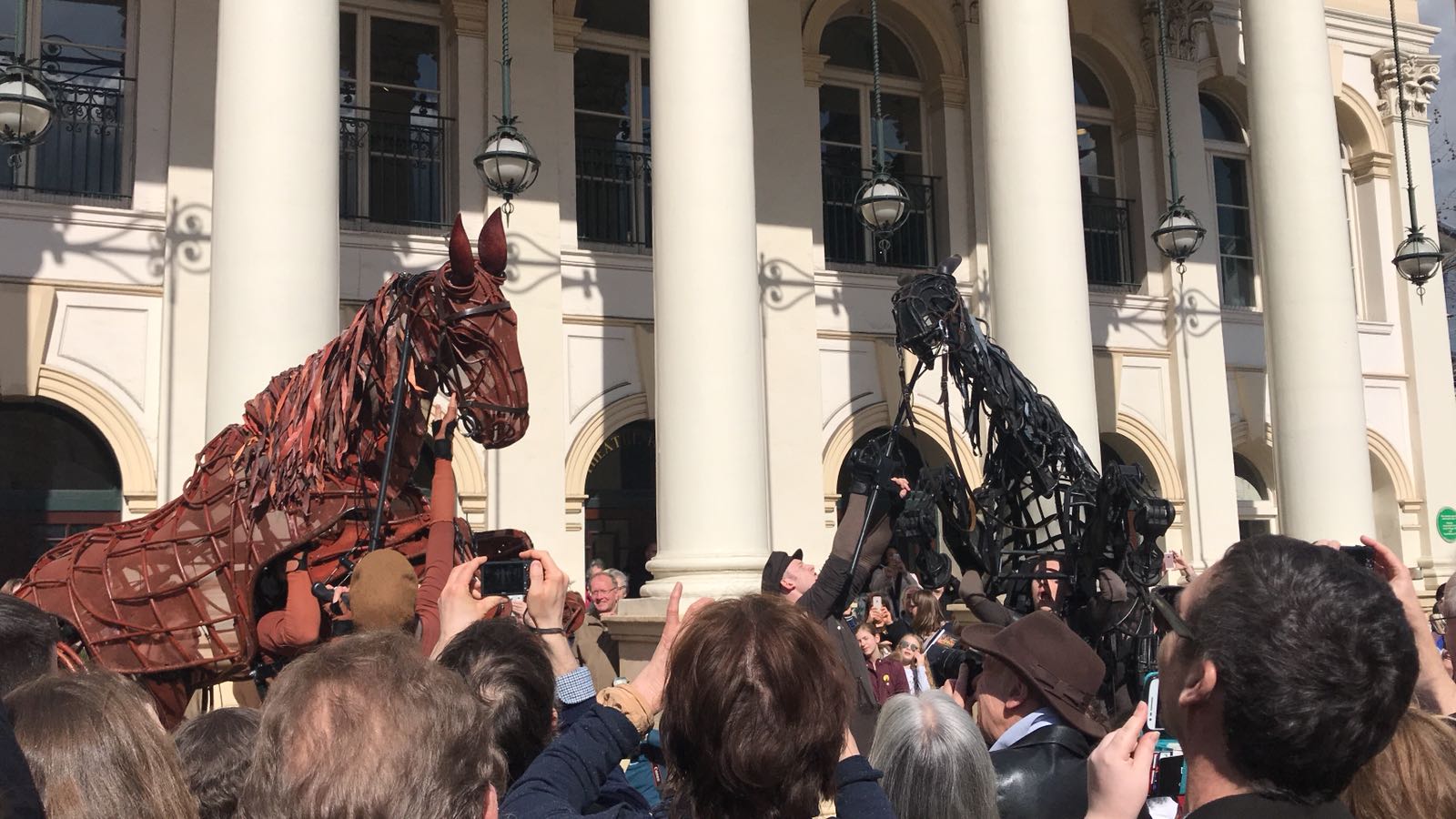 War Horse and Topthorn are really enjoying the parade this afternoon! Have you seen them yet?