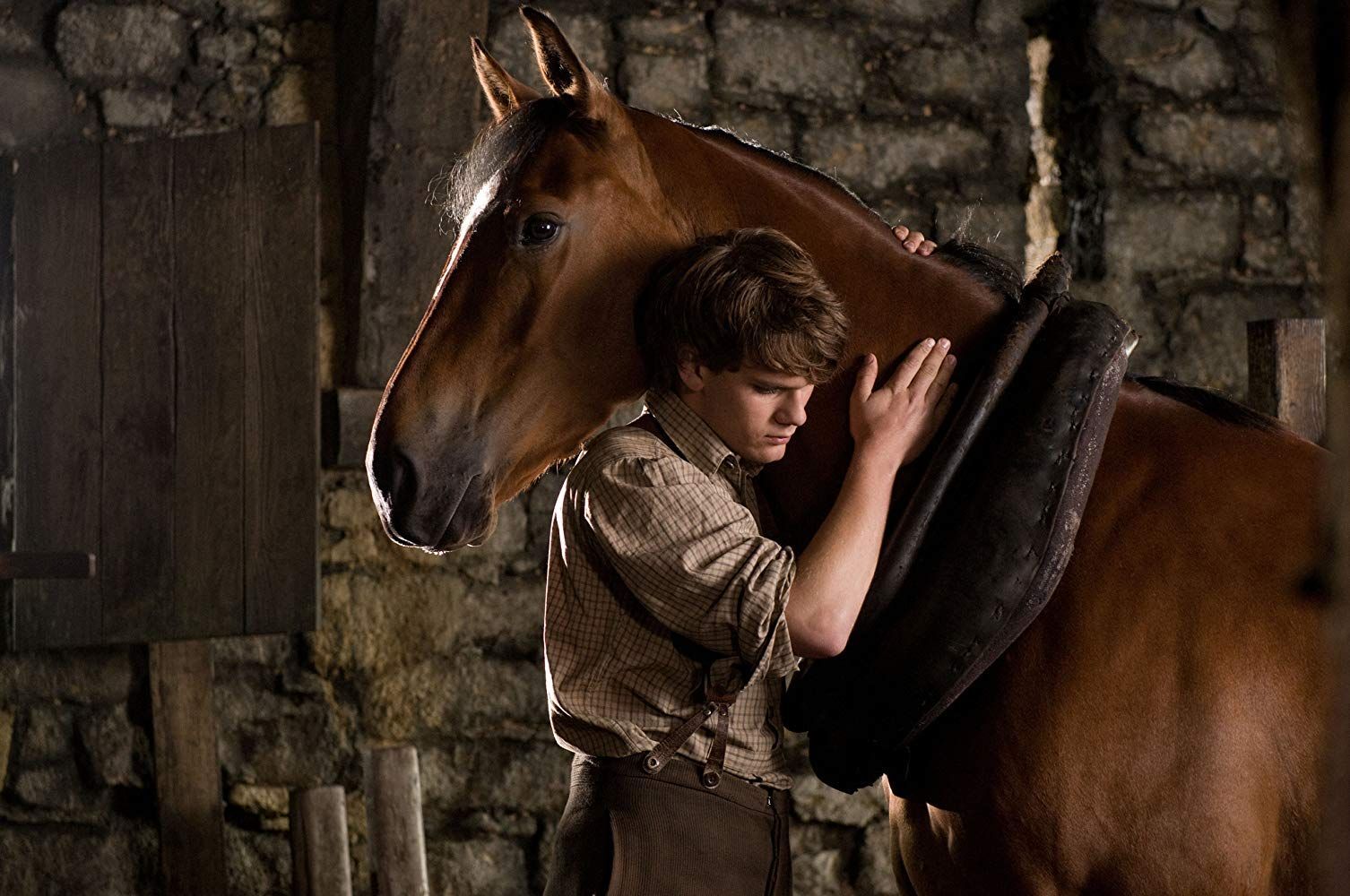 War Horse (2011). Horse movies, War horse, War horse movie