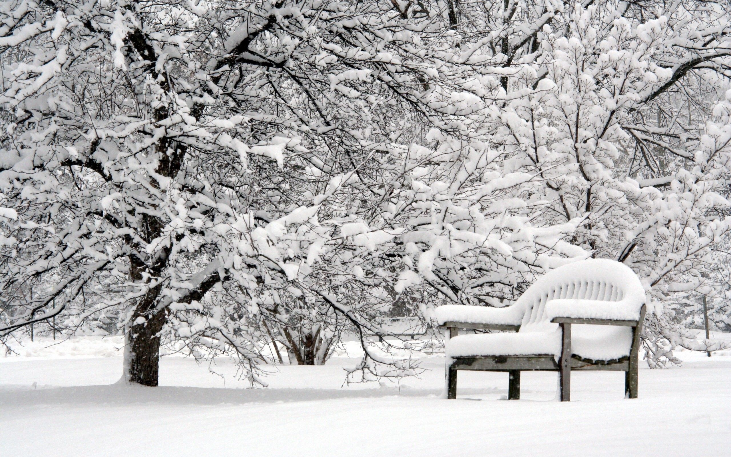 HD Beautiful Winter Wallpaper. Download Free -82820. Winter wallpaper, Winter nature, Snow picture