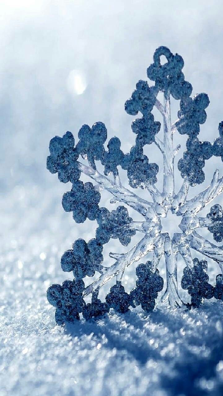 Snow flake. iPhone wallpaper winter, Winter wallpaper, Snow wallpaper iphone