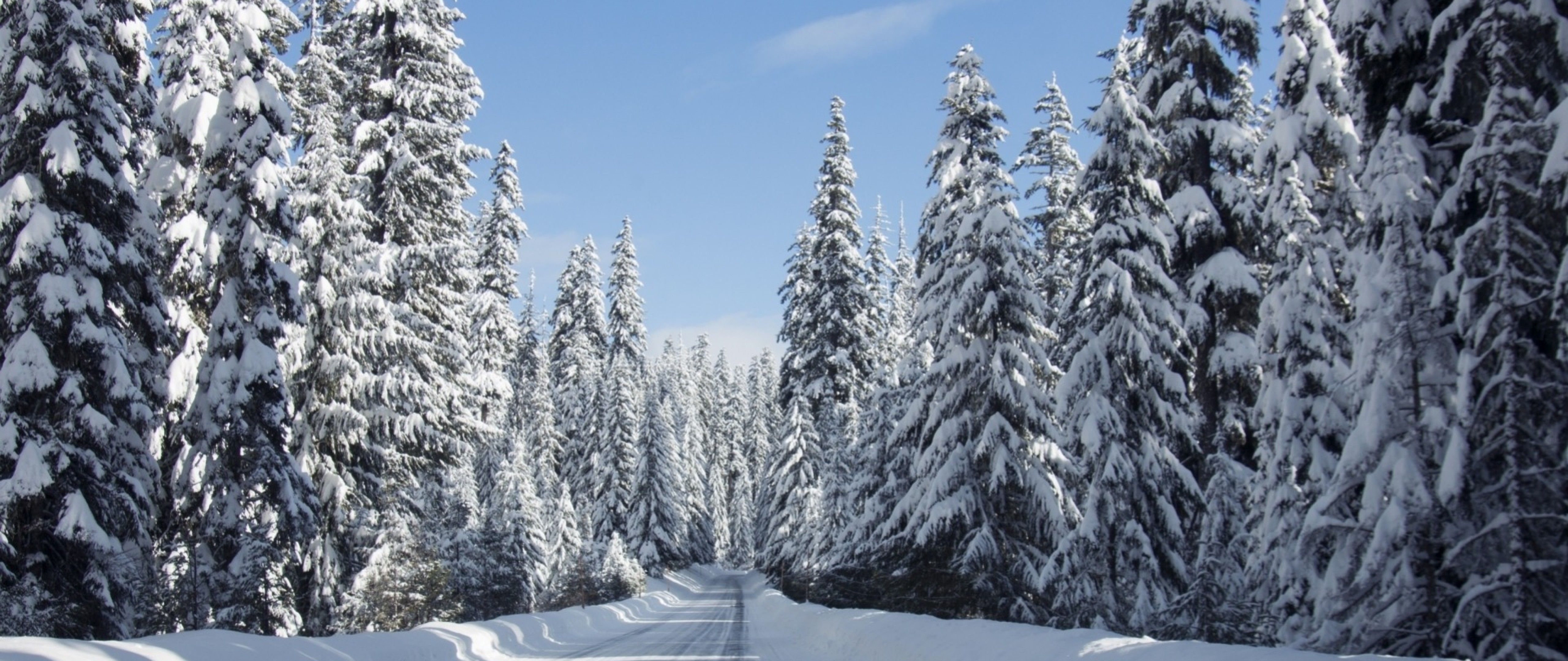 Winter Road in Oregon HD Wallpaper 4K Ultra HD Wide TV