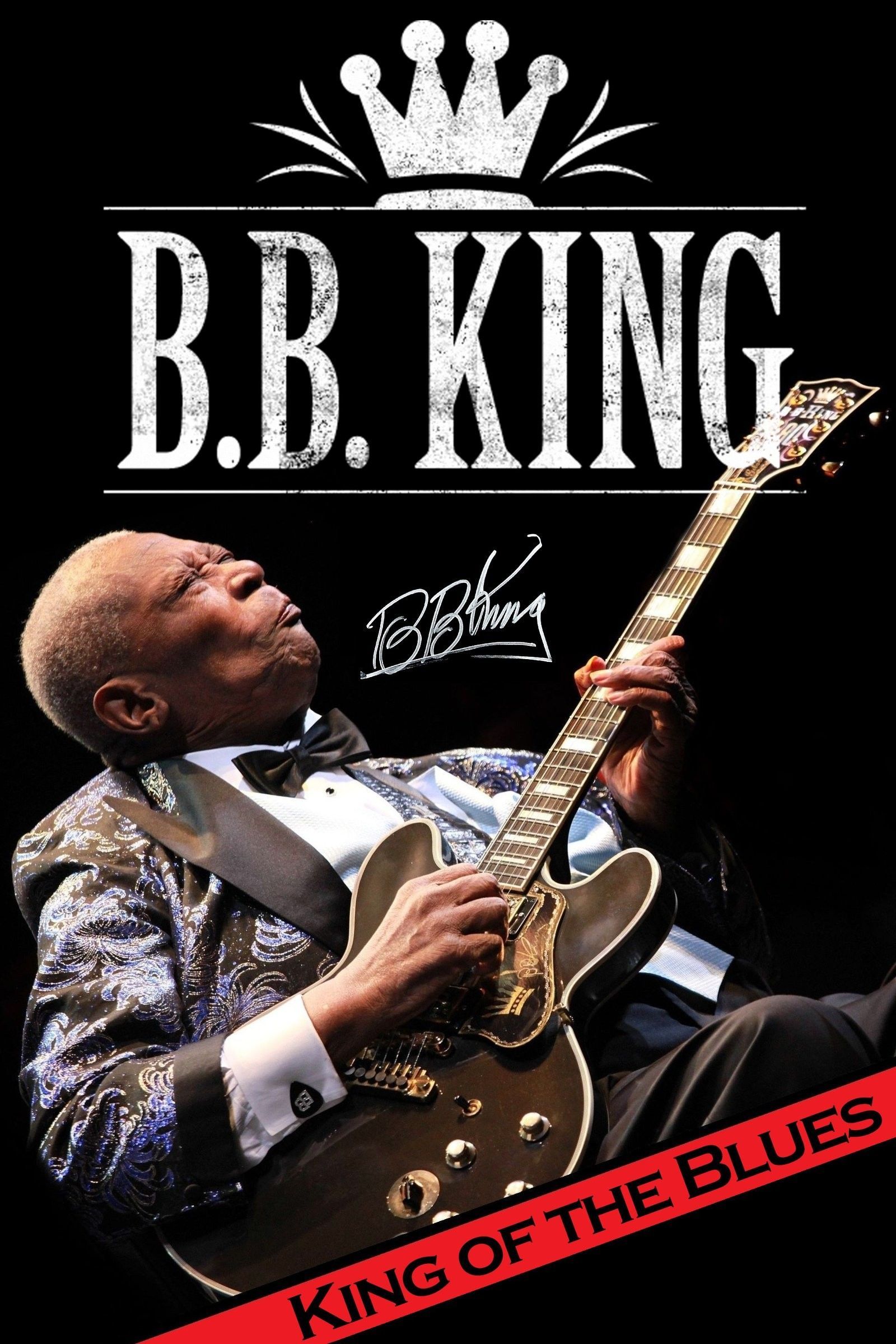 amazing Bb King Wallpaper 1600x2400 for windows 10. Bb king, Blues music, Blues