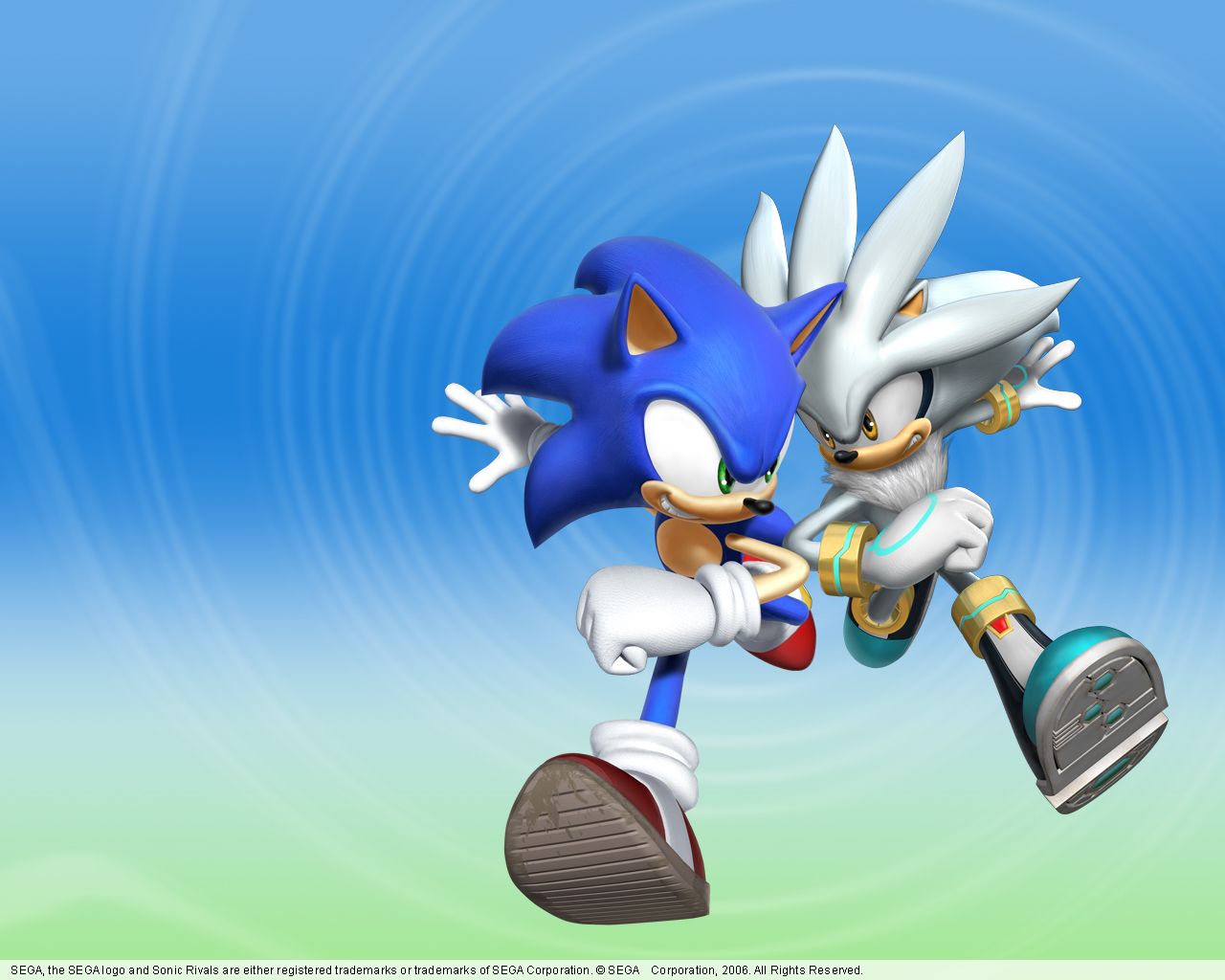 Silver The Hedgehog And Sonic