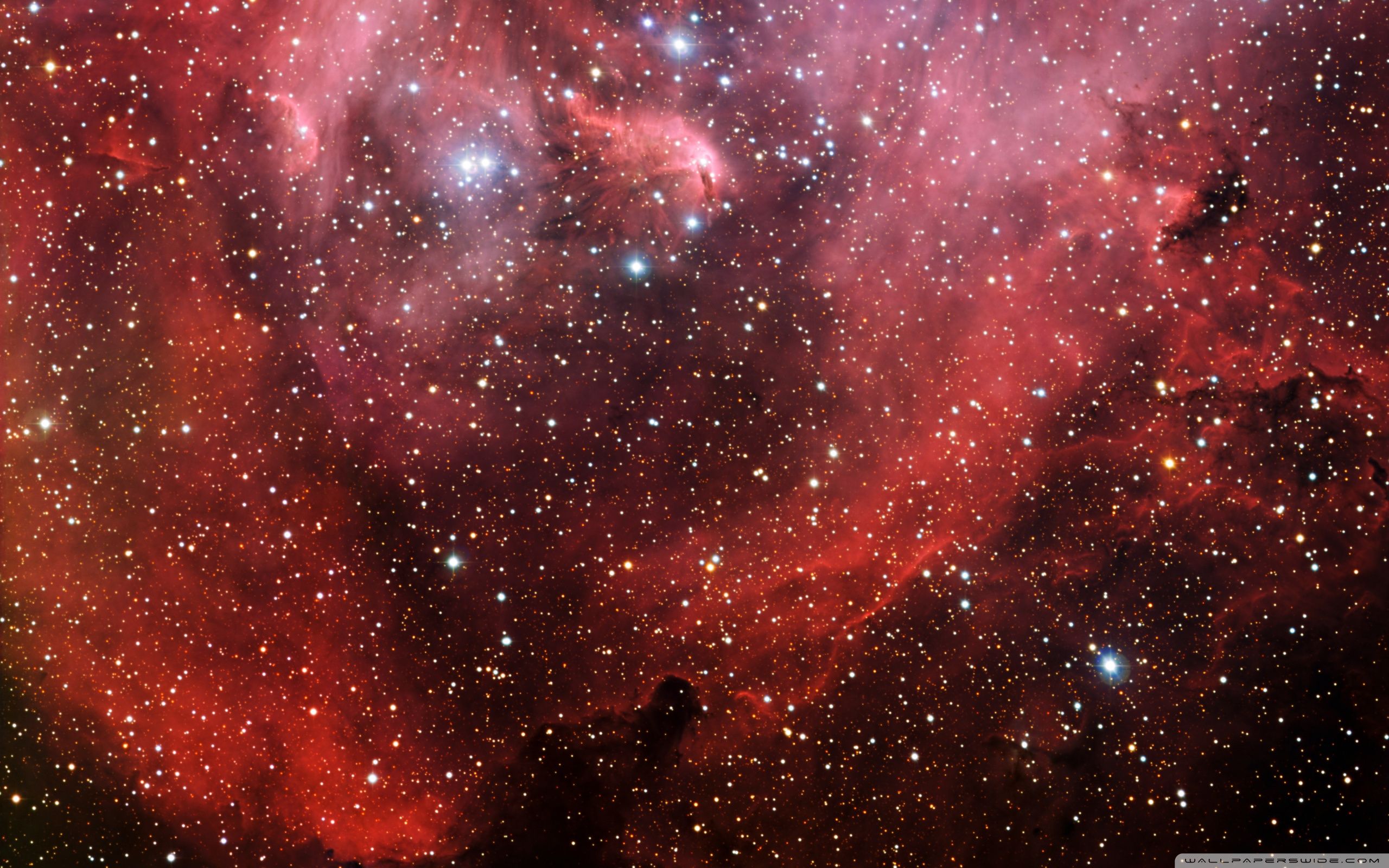 Millions Of Stars Ultra HD Desktop Background Wallpaper for 4K UHD TV, Widescreen & UltraWide Desktop & Laptop, Tablet