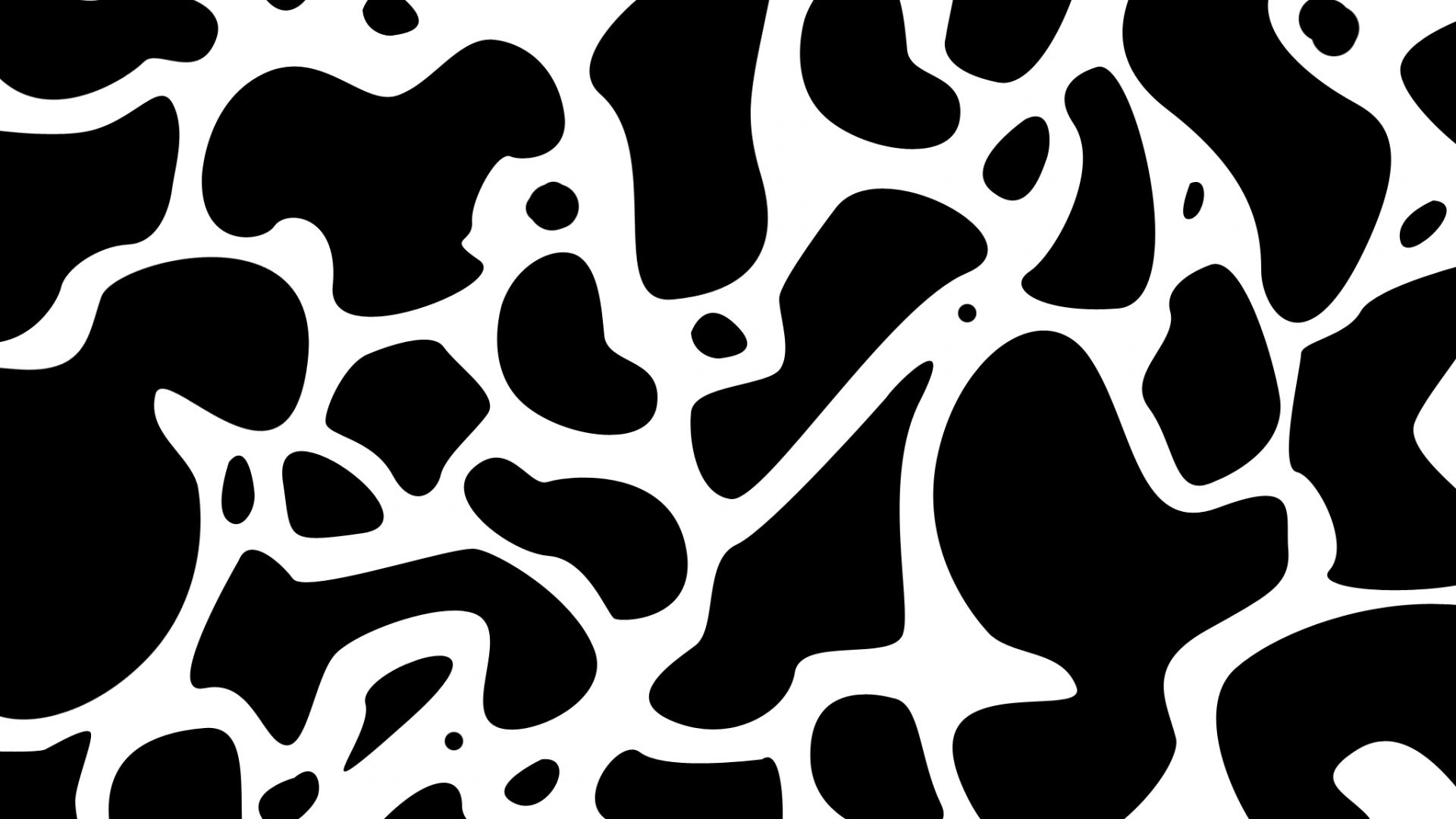 Black And White Cow Print 6 HD Cow Print Wallpaper