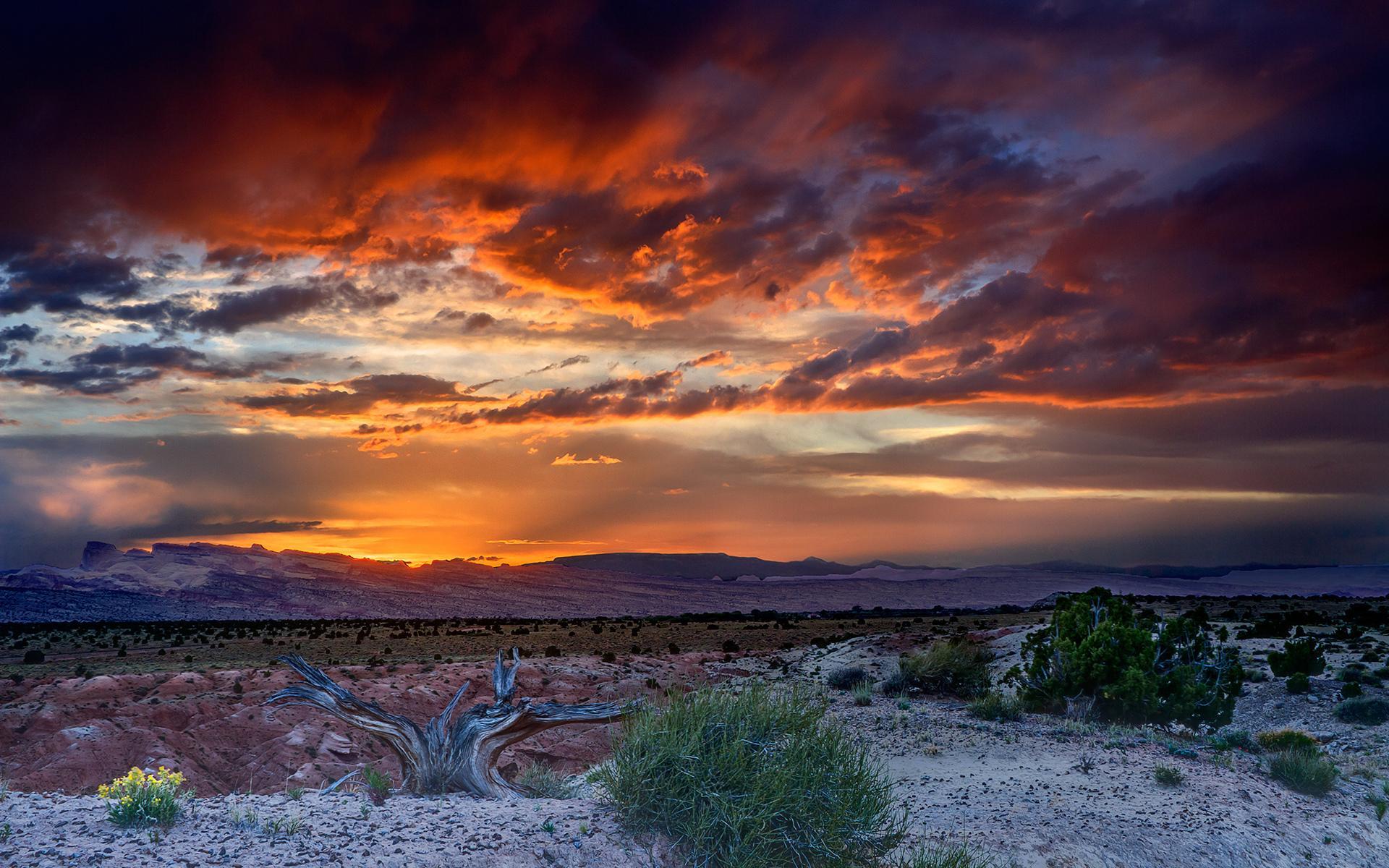 Desert Sunset Wallpaper Free Desert Sunset Background