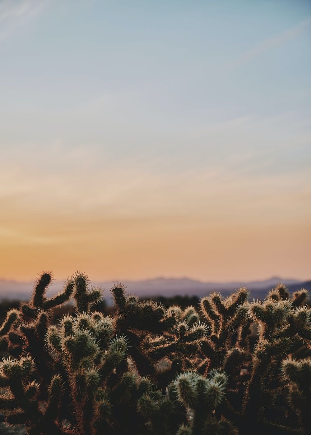 Desert Sunset Picture. Download Free Image