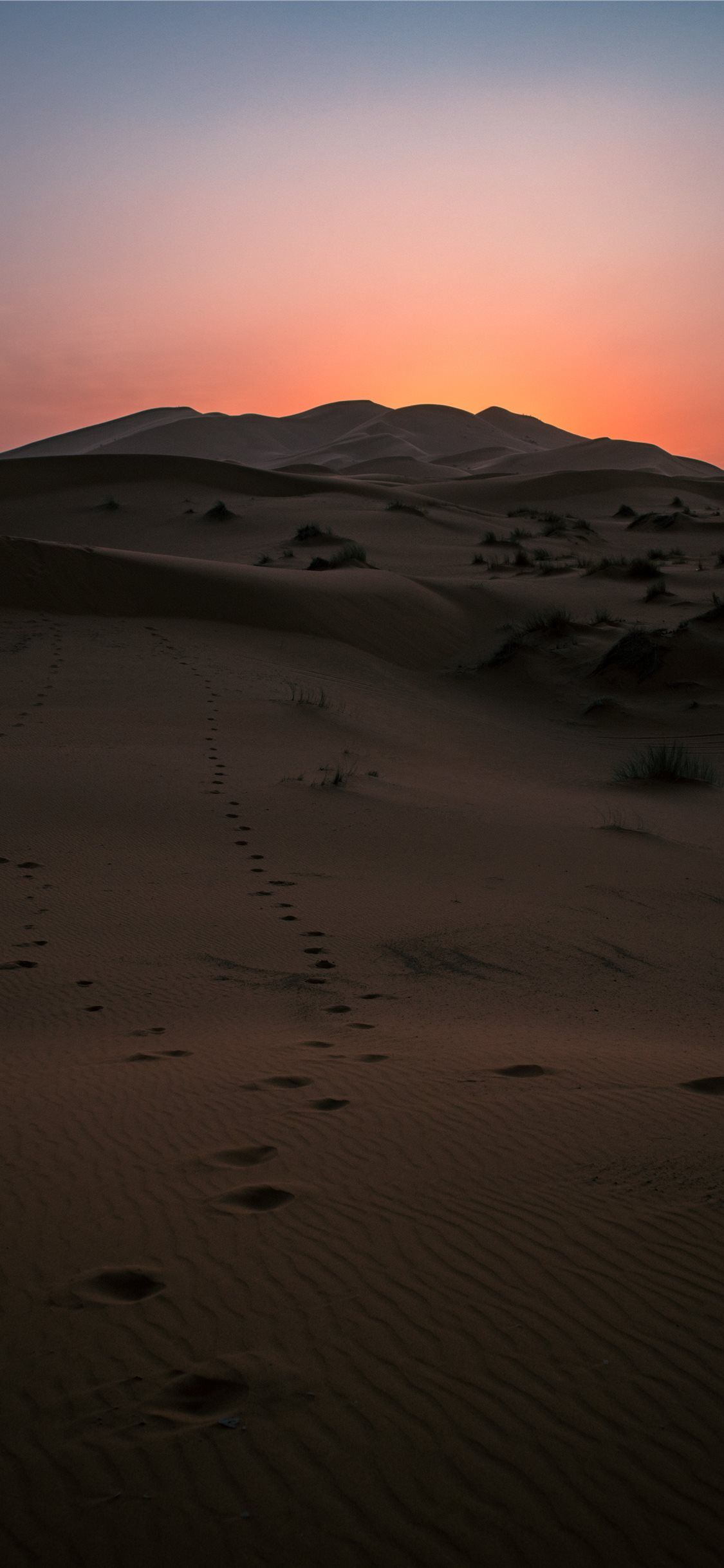 Desert Sunset iPhone X Wallpaper Free Download