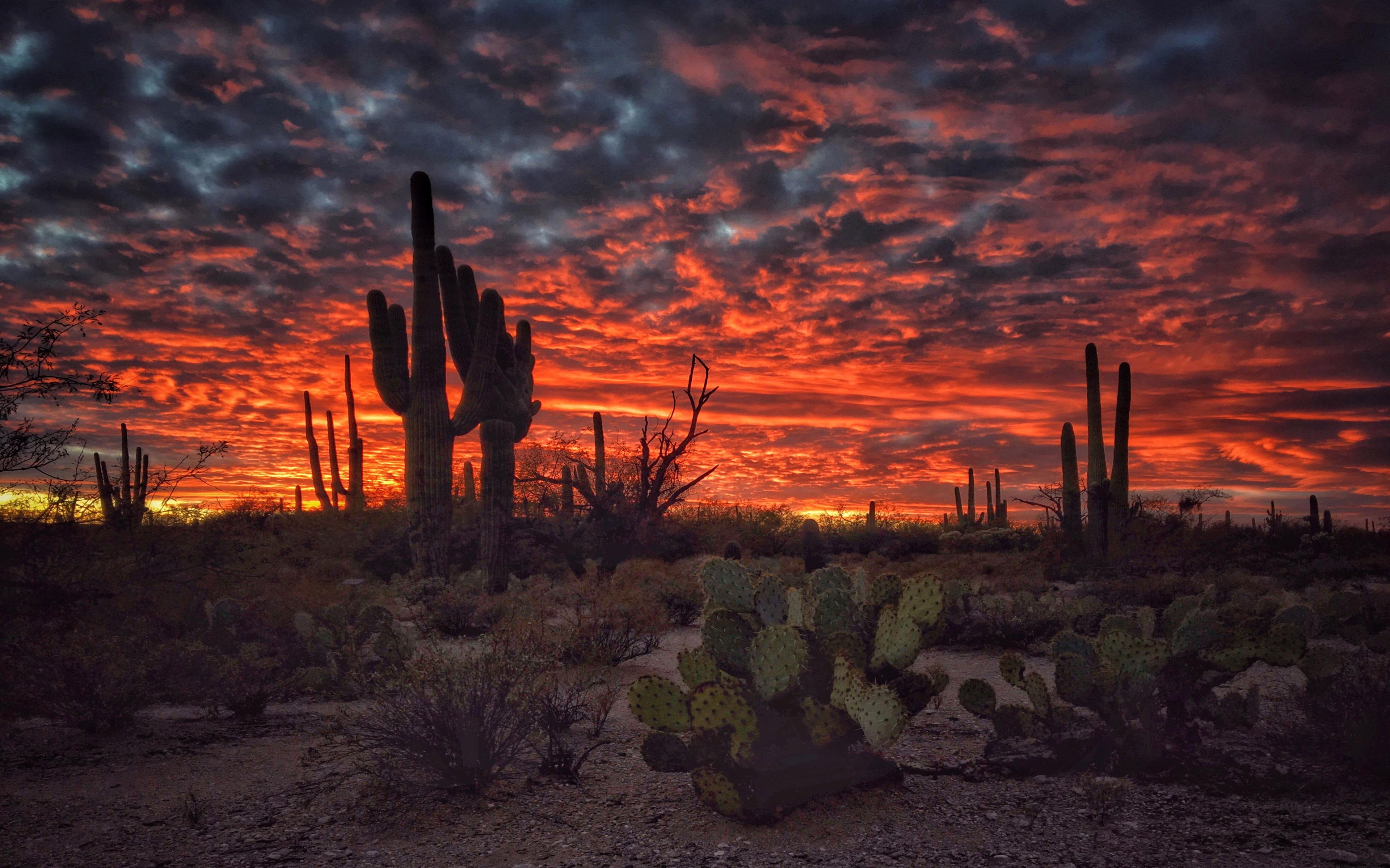 iPhone Desert Sunset Wallpaper