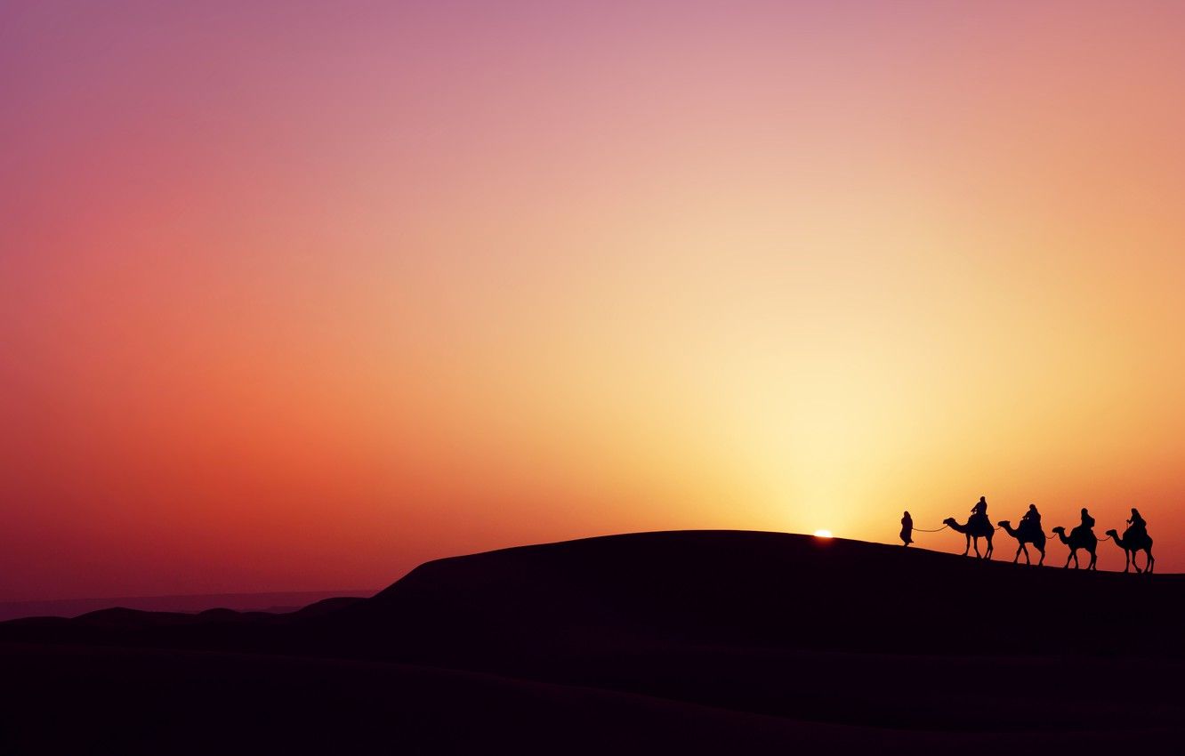 Wallpaper sunset, desert, desert, sunset, camels, the Bedouins, camels, bedouins image for desktop, section пейзажи
