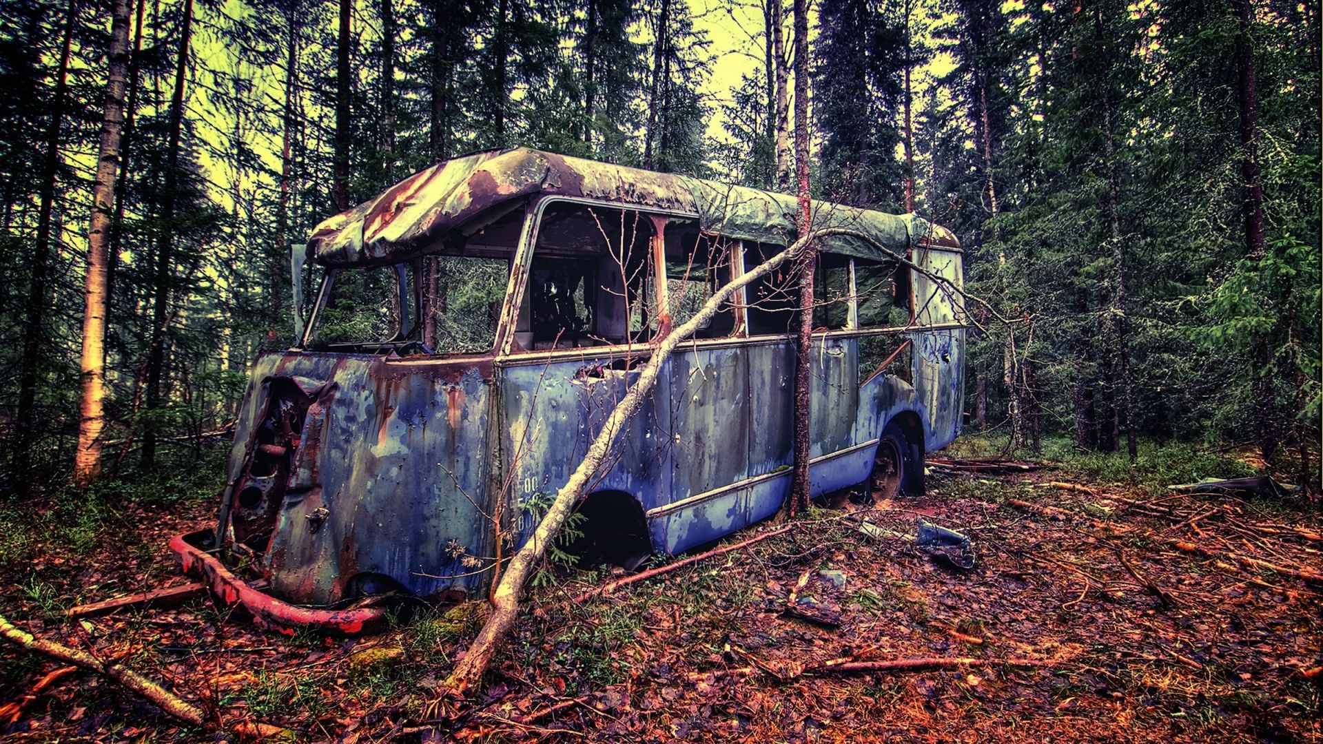 Old Vintage Bus In Forest 1280x1024 Resolution HD 4k Wallpaper, Image, Background, Photo and Picture