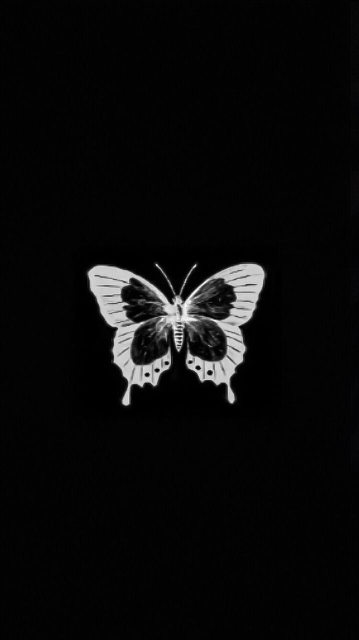 Black Butterfly Wallpaper Tumblr