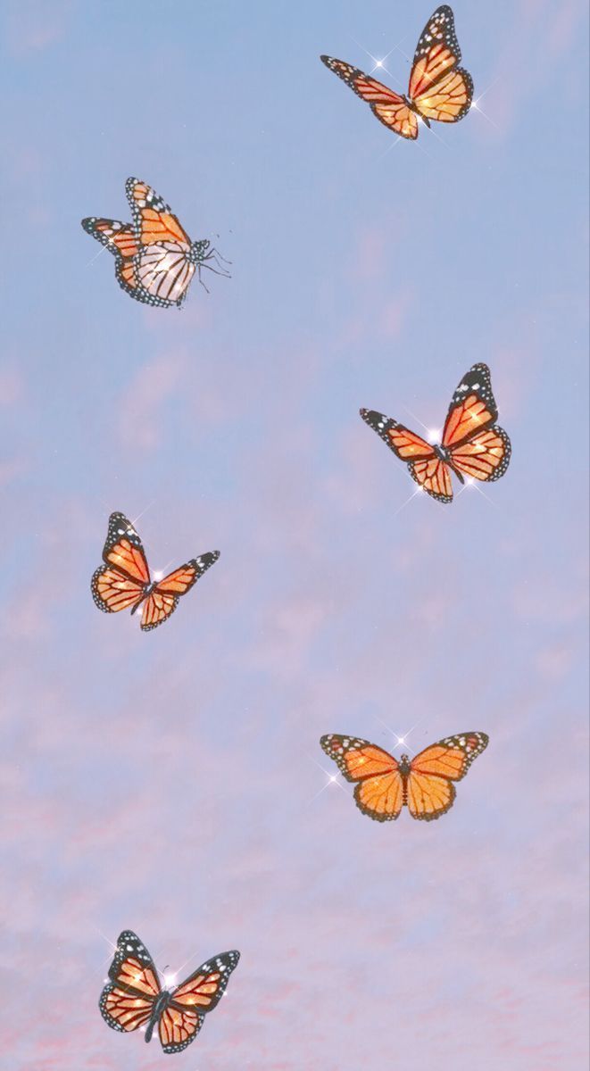 Cebra bebe. Butterfly wallpaper iphone, iPhone wallpaper tumblr aesthetic, Butterfly wallpaper