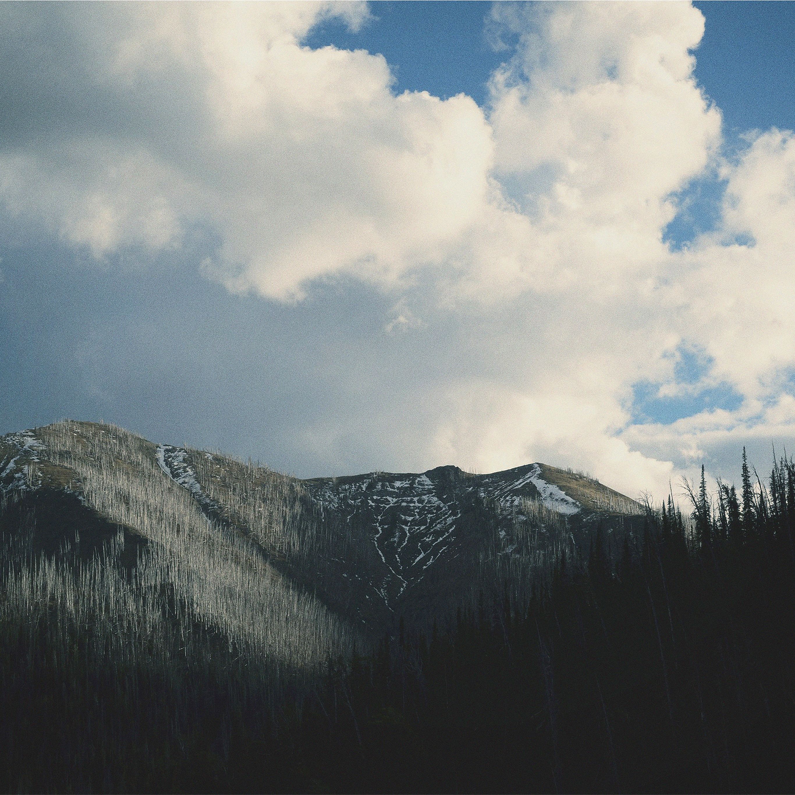 Mountain Forest Vintage Nature Wallpaper