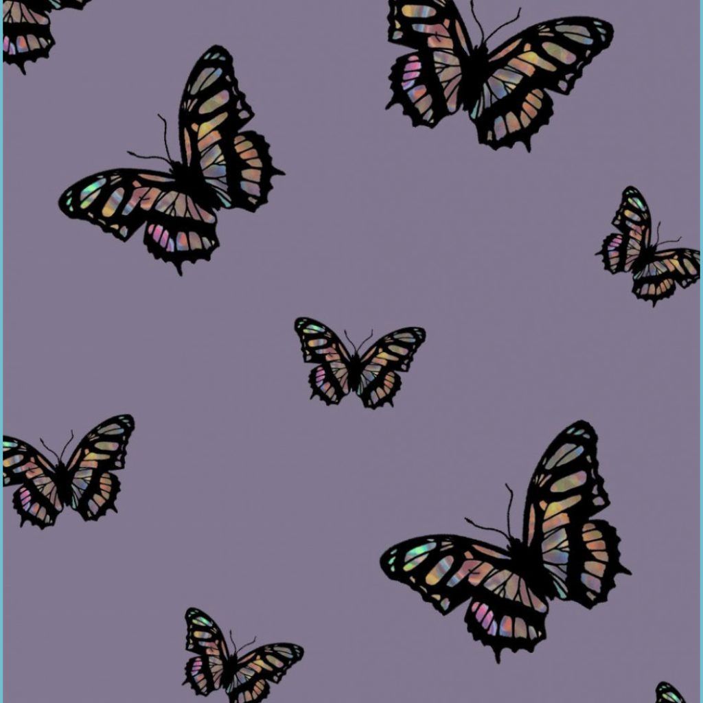 Butterfly Wallpaper Tumblr wallpaper tumblr