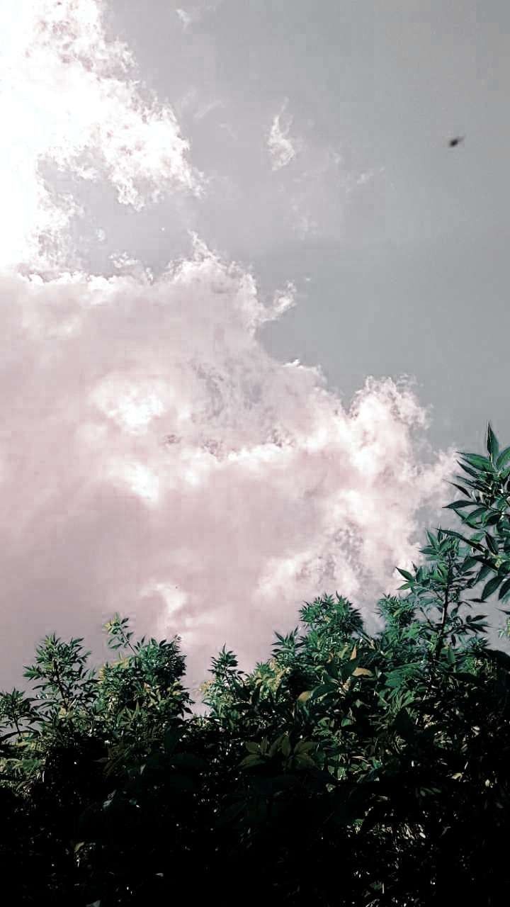 Aesthetic caramel dream