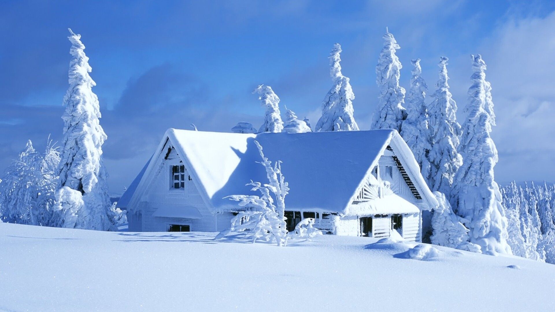 White house in a beautiful white winter season