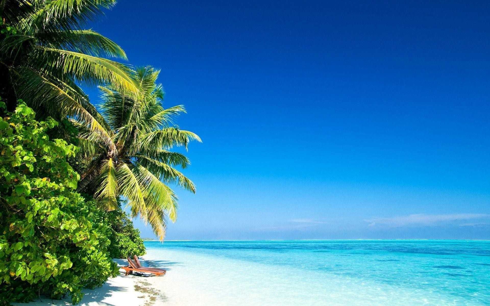 Beautiful Ocean Wallpaper background picture