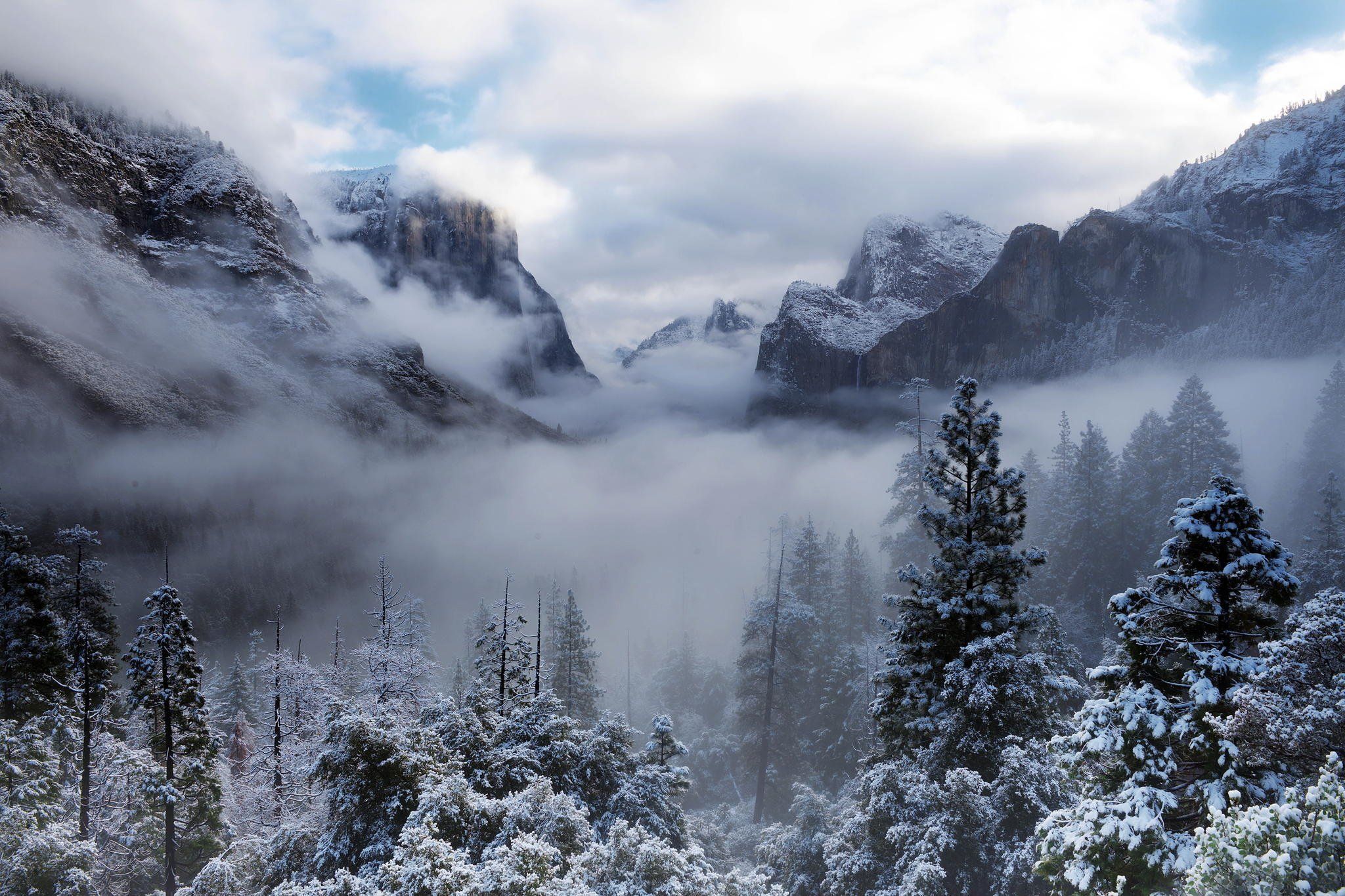 Yosemite national park usa california winter snow forest wallpaperx1365