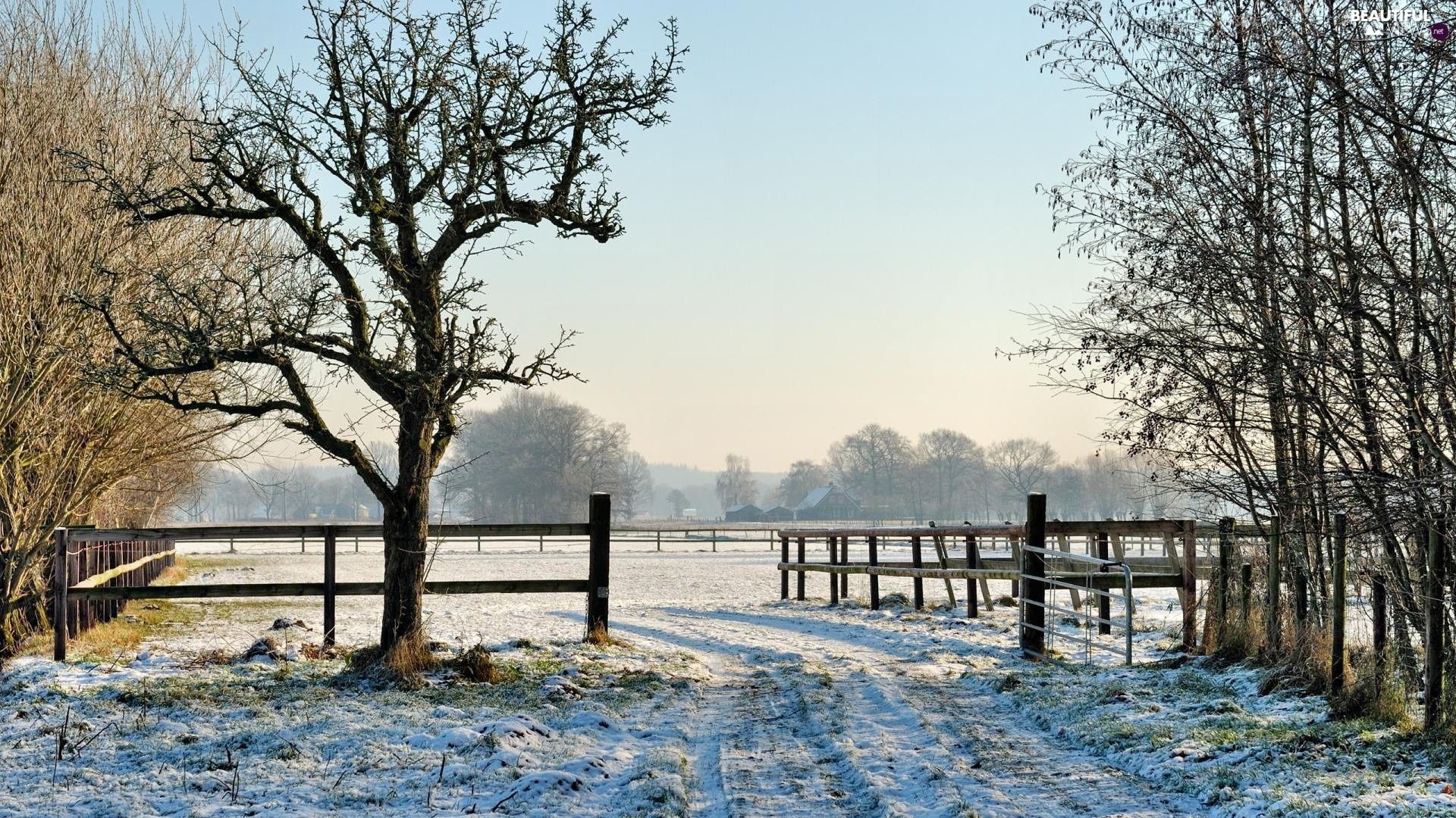 Winter Meadow Wallpapers - Wallpaper Cave