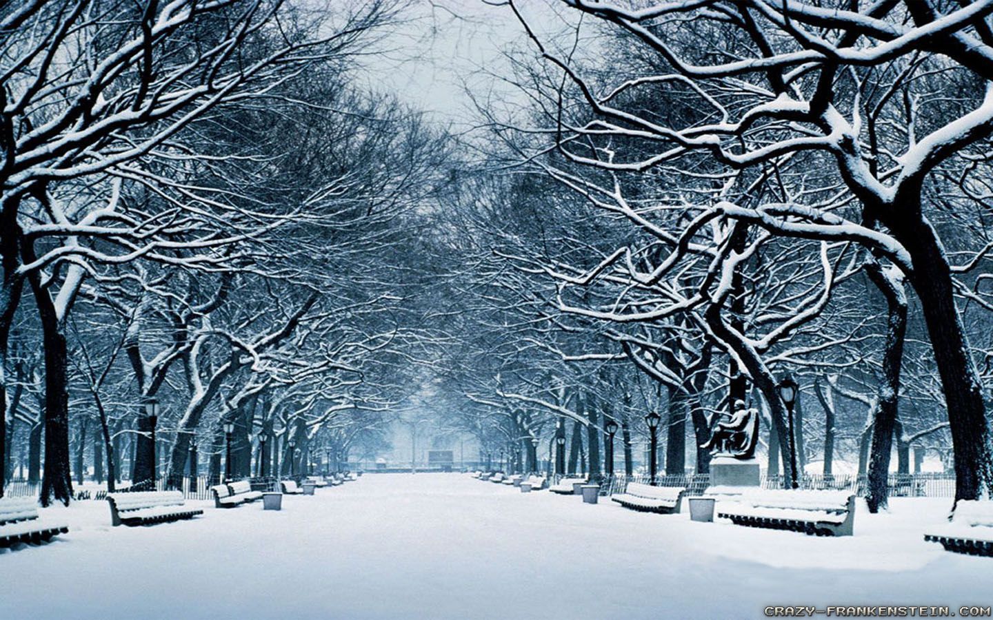 Winter Widescreen Wallpaper