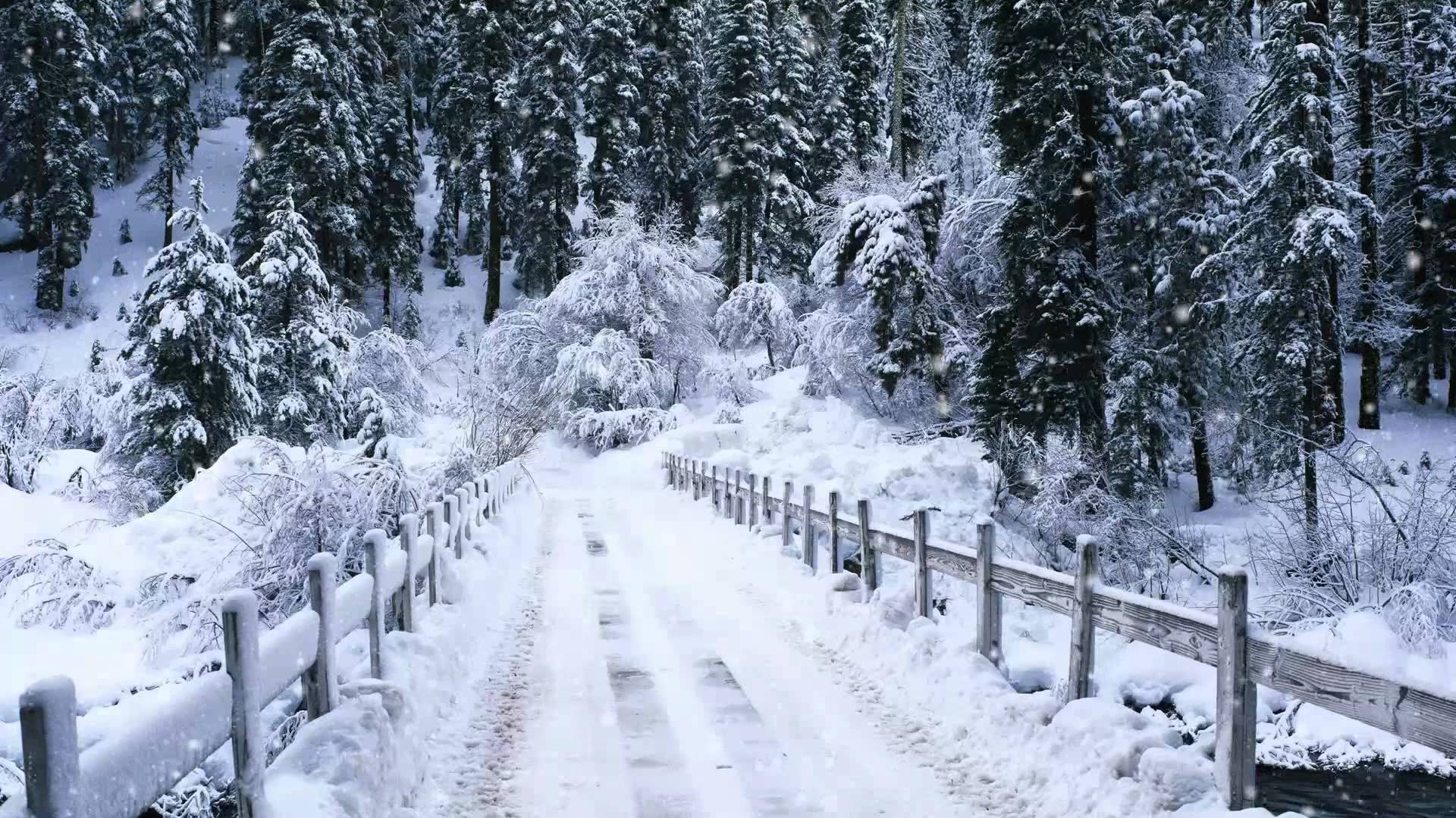 Free download Snow Falling Windows 7 Video Background DreamScene Adobe after [1920x1080] for your Desktop, Mobile & Tablet. Explore Live Snow Falling Wallpaper. Free Winter Snow Desktop Wallpaper, Free