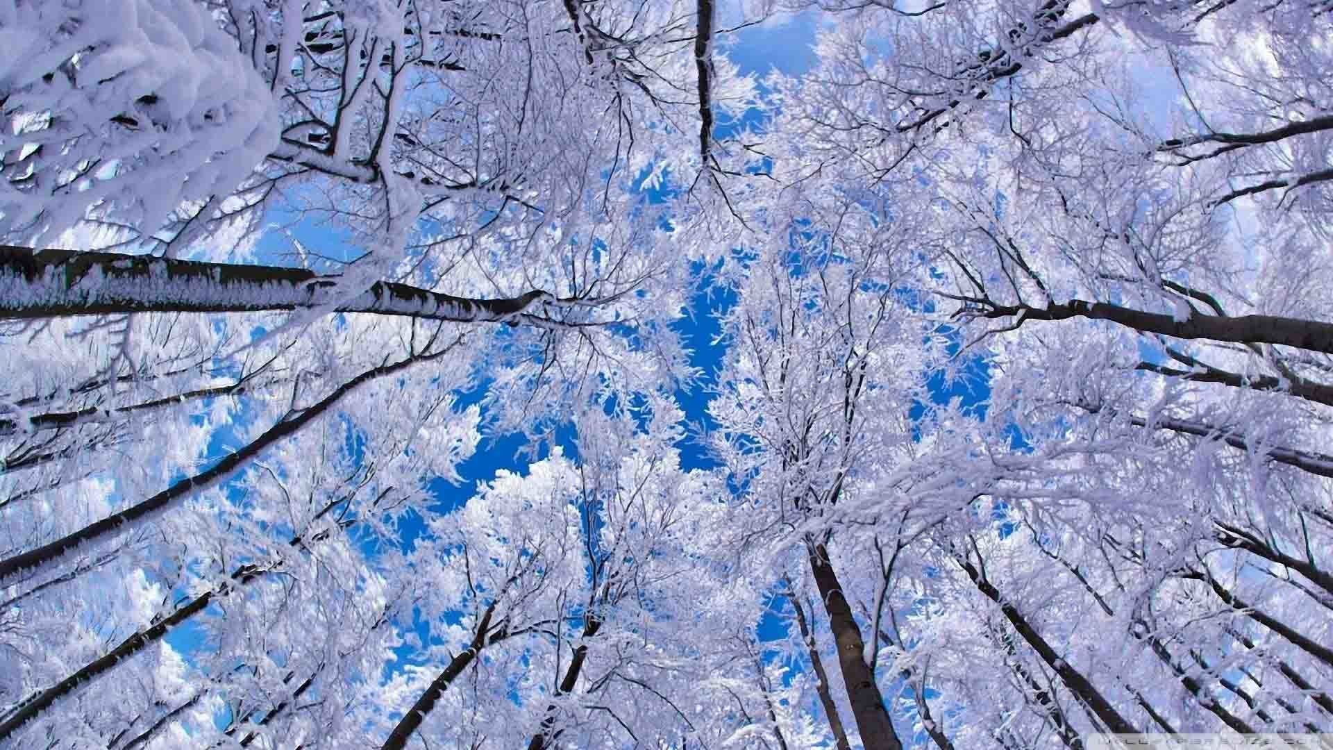 Winter Computer Wallpaper Scenes