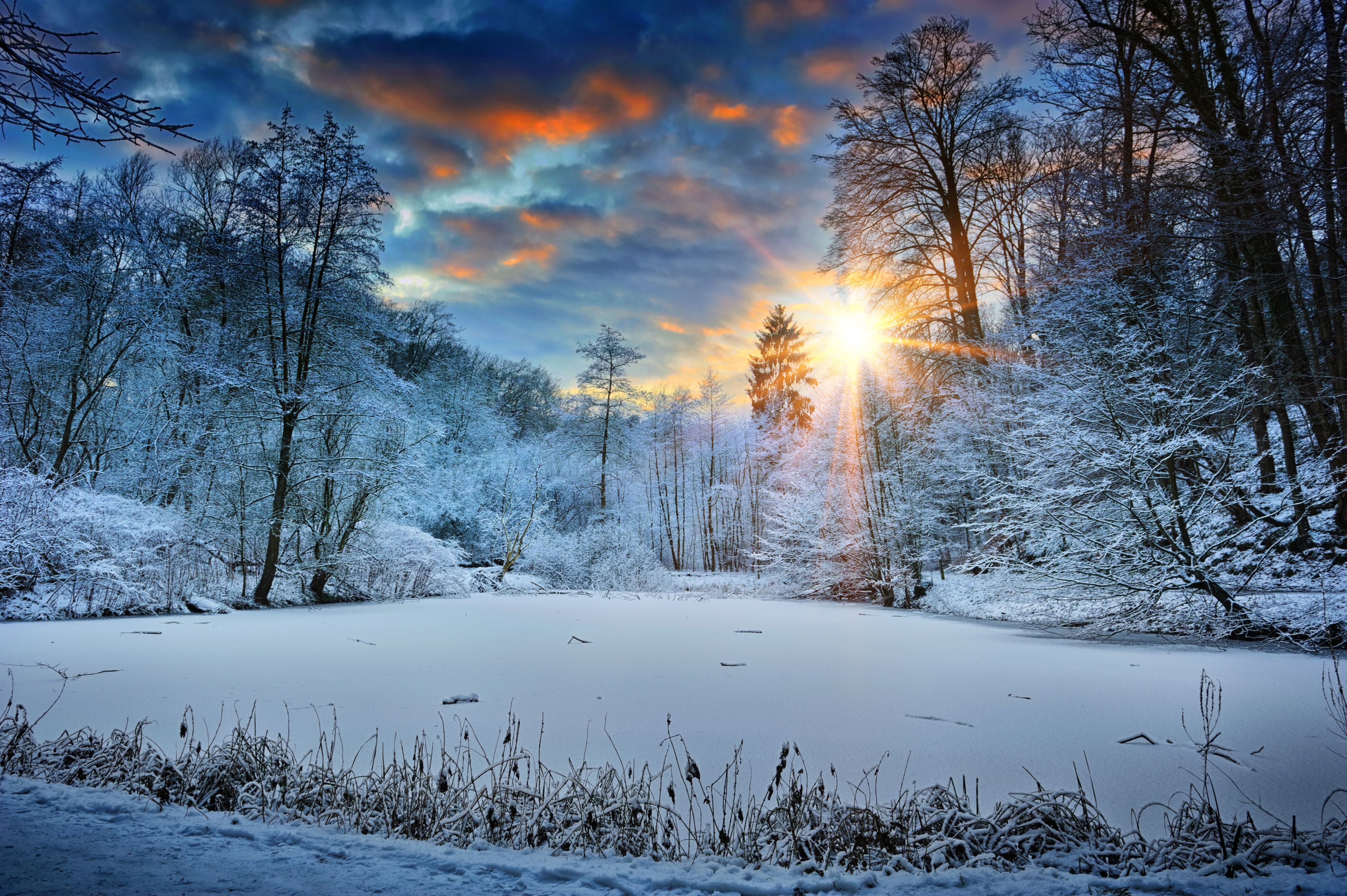 Sunbeams Landscape Snow In Winter Trees 4k 720P HD 4k Wallpaper, Image, Background, Photo and Picture