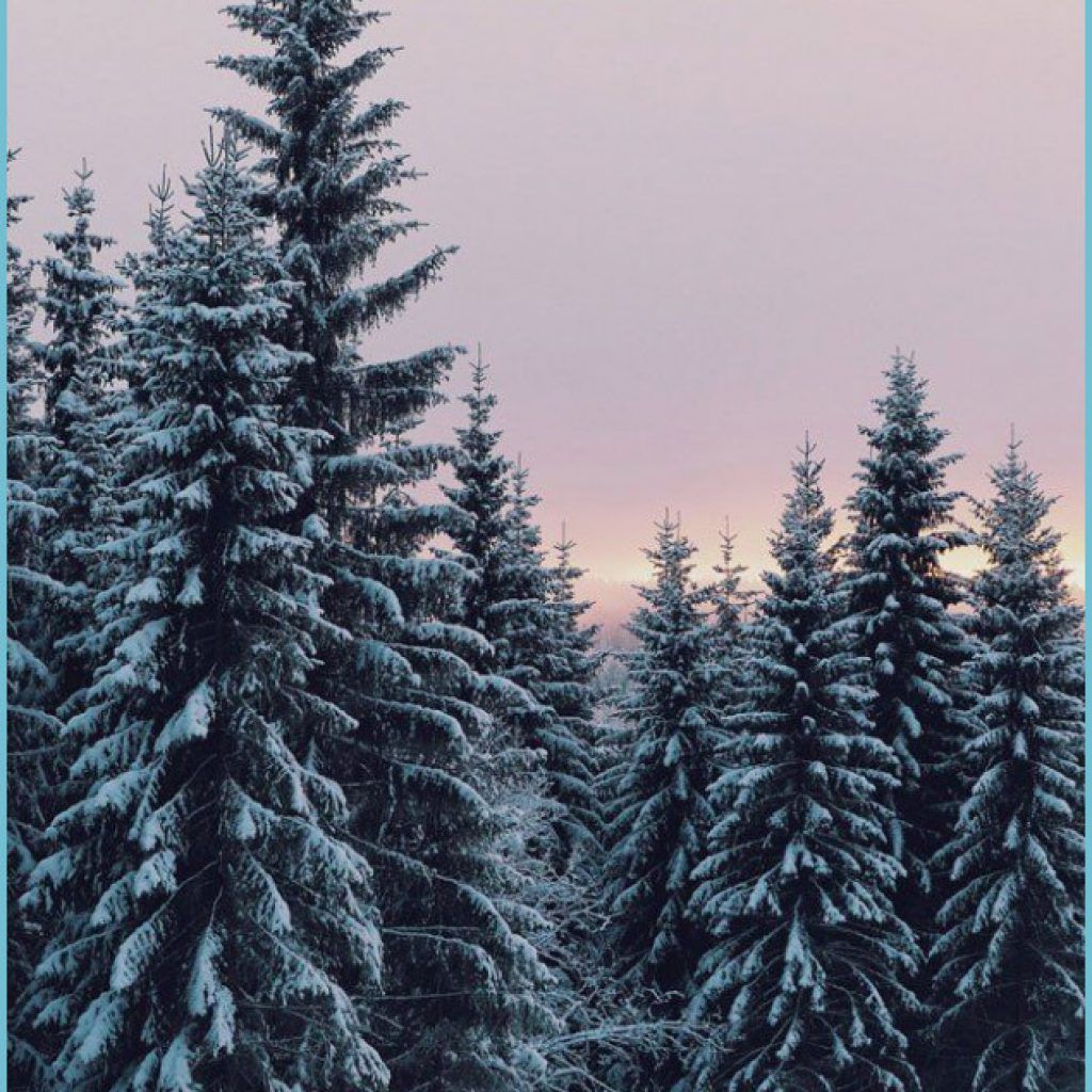 winter, snow, winter aesthetic #winter Winter wallpaper, Winter aesthetic wallpaper