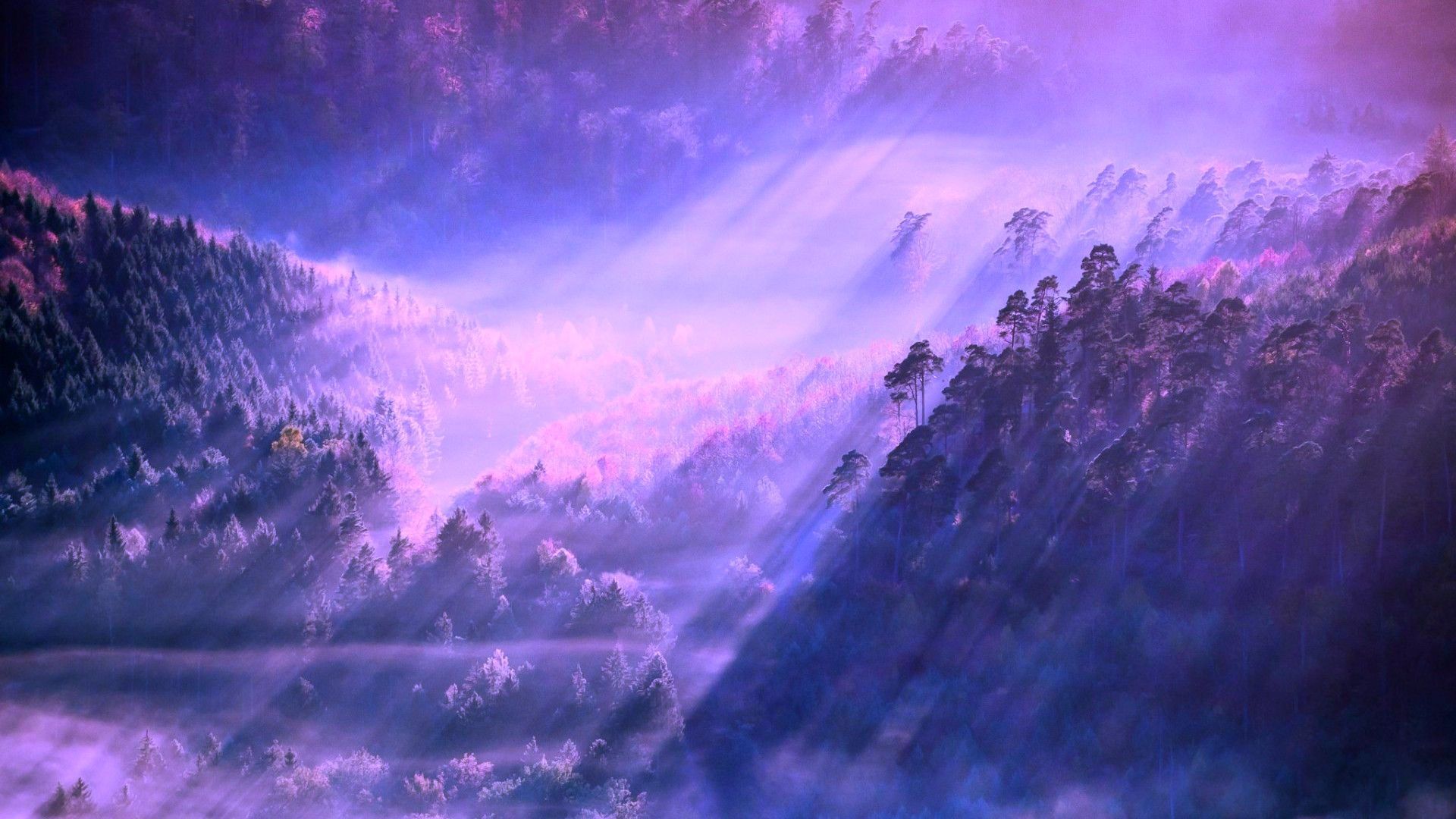 Computer Wallpapers Aesthetic.
