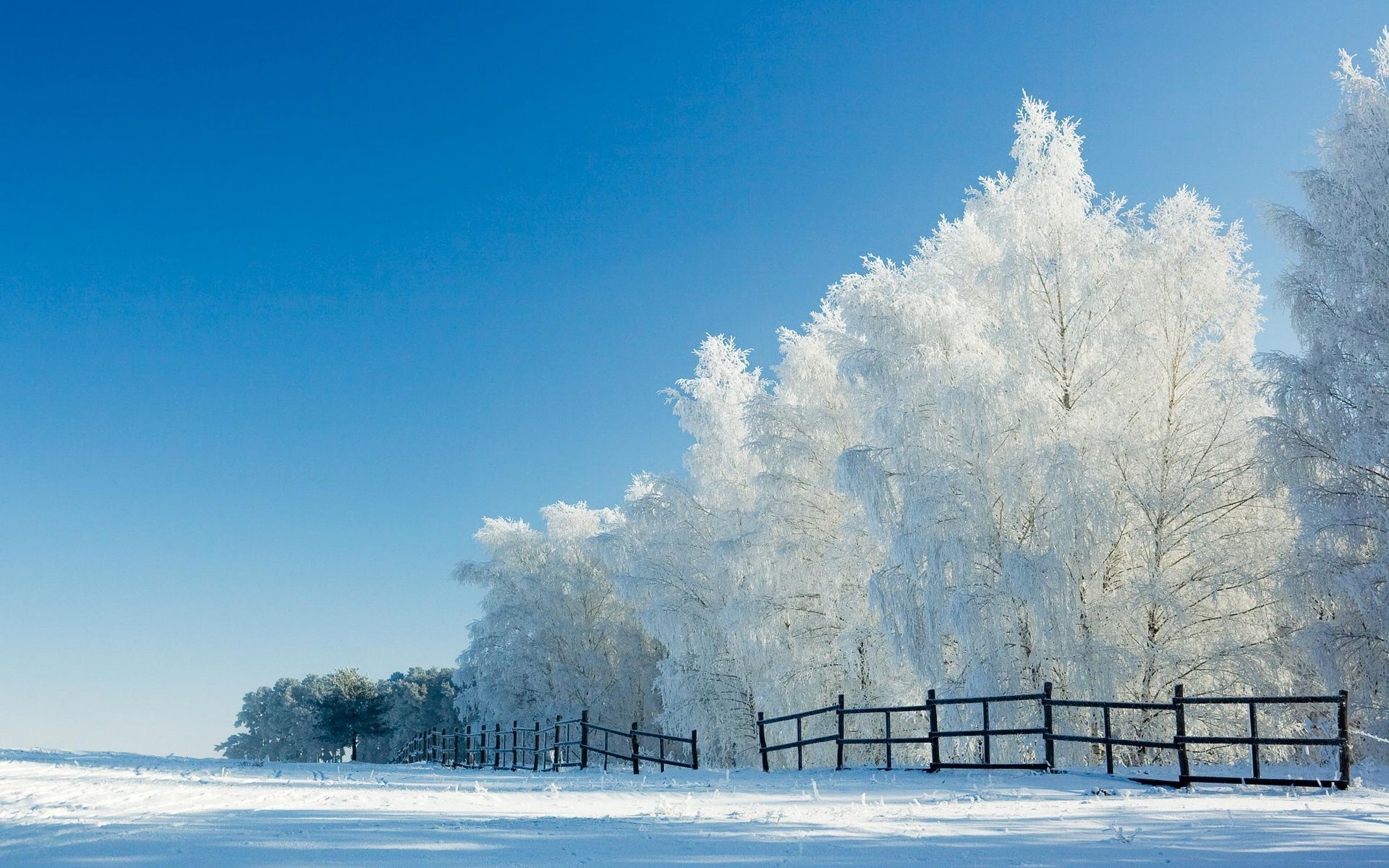 Winter Meadow Wallpapers - Wallpaper Cave