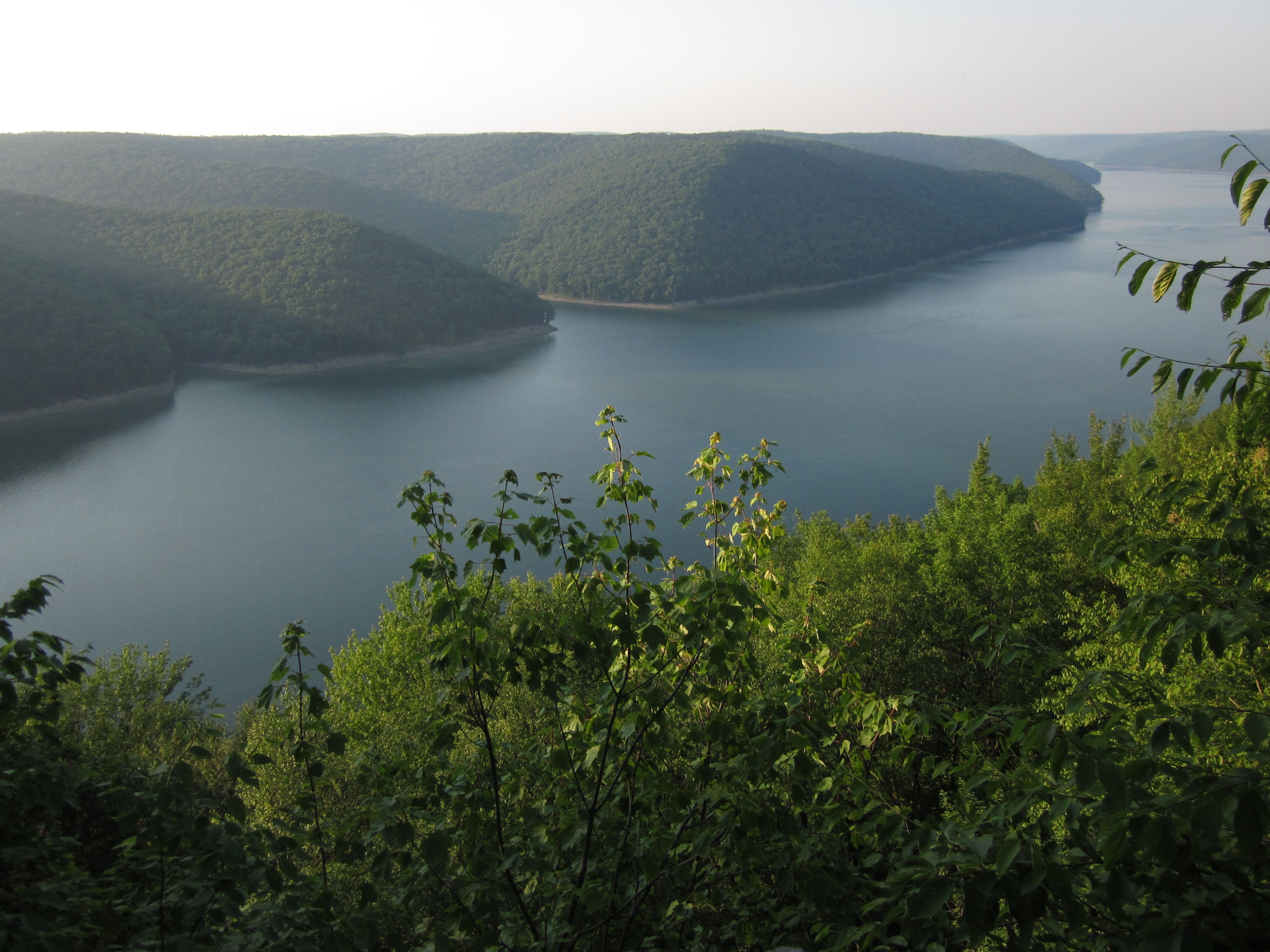 Allegheny National Forest Wallpaper. Beautiful Forest Wallpaper, Amazing Forest Wallpaper and Fall Forest Wallpaper