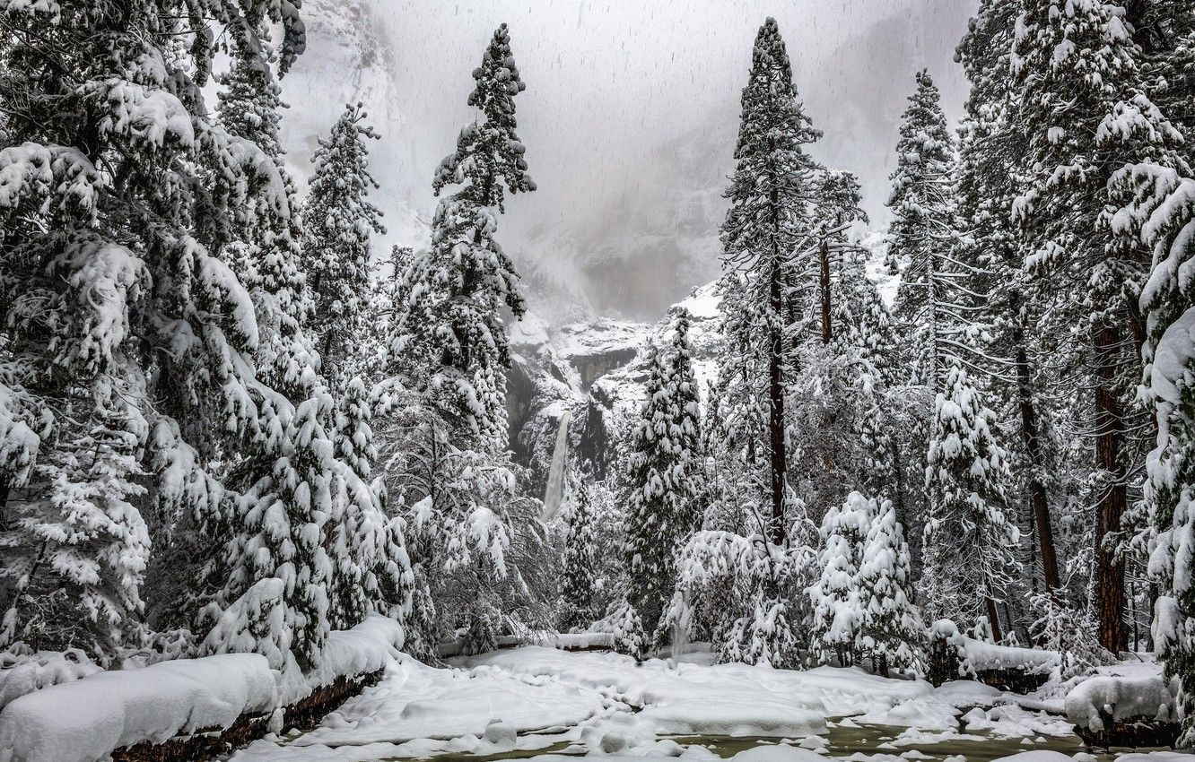 Wallpaper winter, snow, mountain, waterfall, ate, tree, Christmas trees image for desktop, section пейзажи