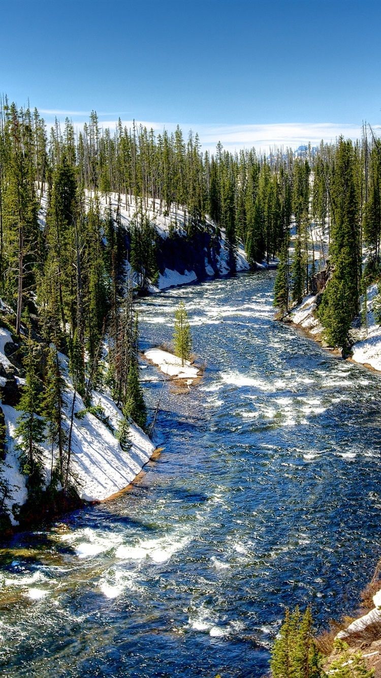 Yellowstone National Park, USA, Winter, Trees, Snow 750x1334 IPhone 8 7 6 6S Wallpaper, Background, Picture, Image