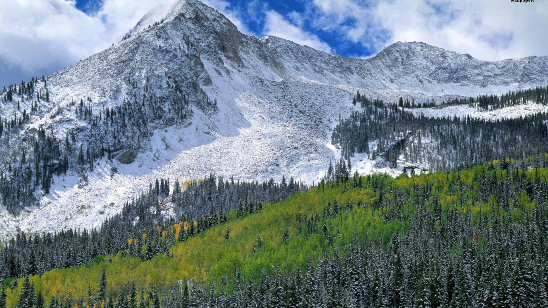 National Forest wallpaperx1080