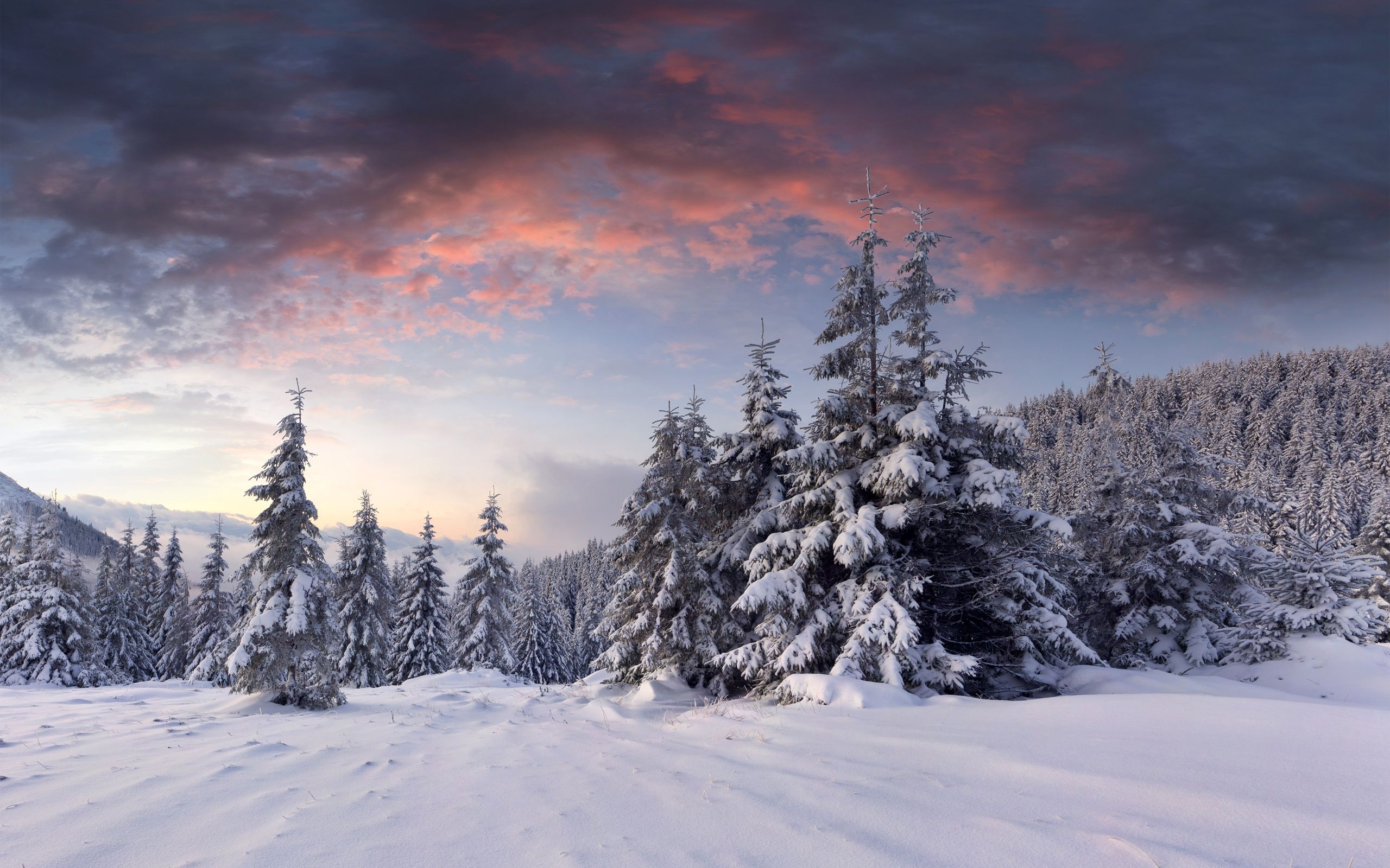Wallpaper Snow, Sunrise, Clouds, Winter, Trees, Forest Landscape Wallpaper 4k