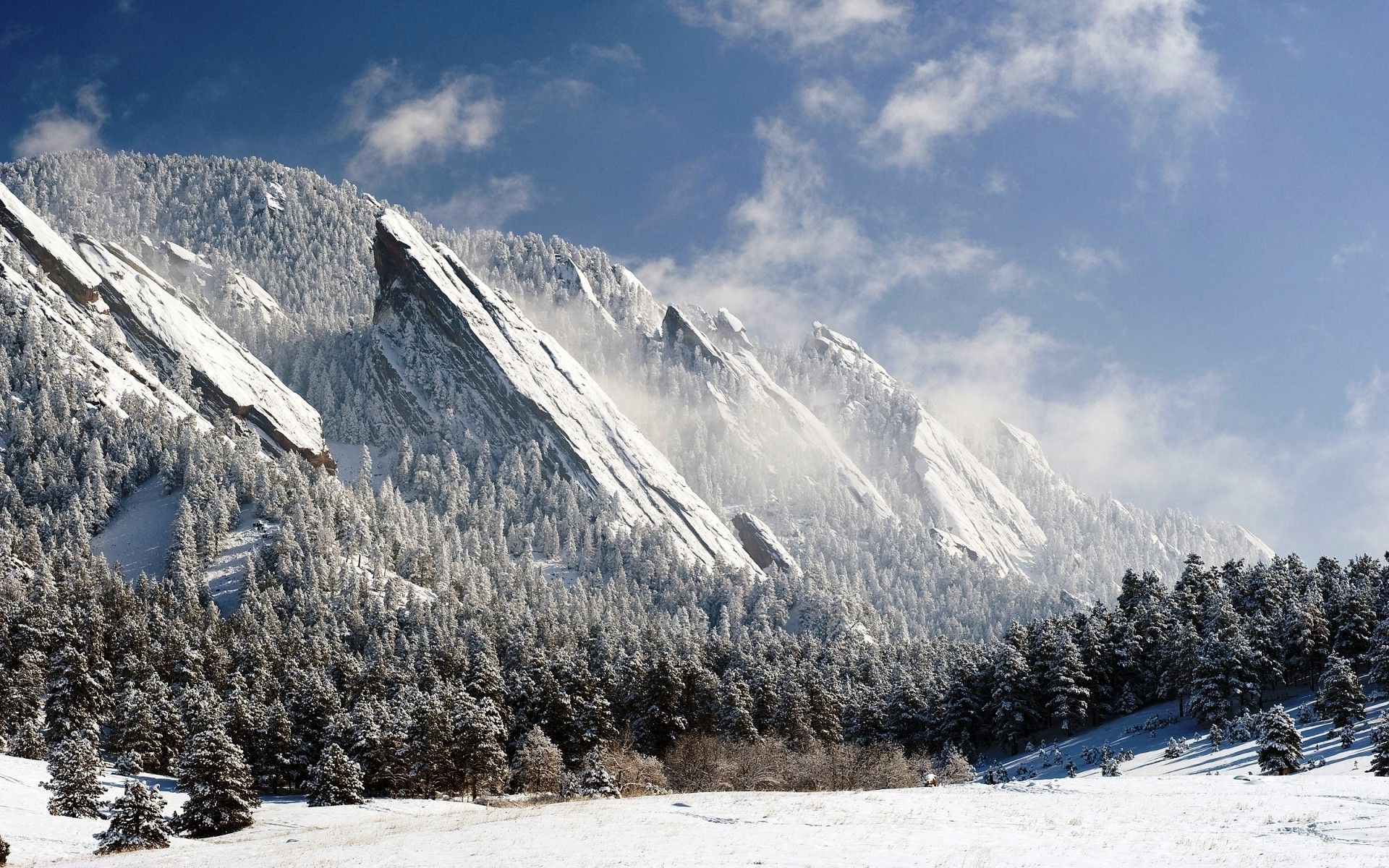 snow colorado usa nature landscape mountain pine trees forest winter trees wallpaper