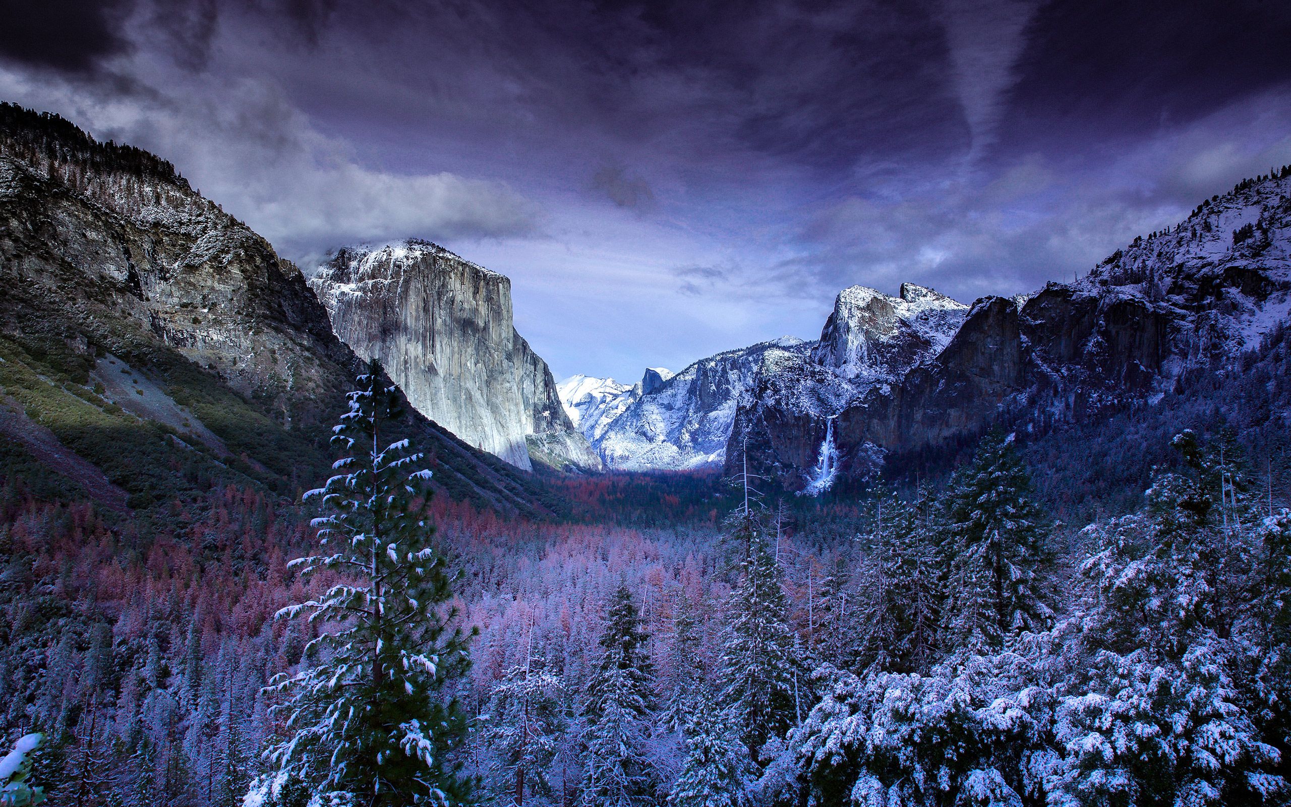 Winter Meadow Wallpapers - Wallpaper Cave