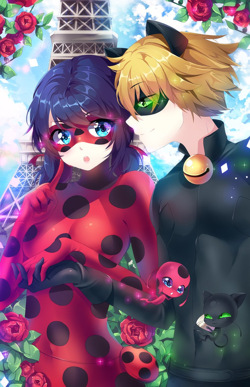 Lady bug and cat noir anime