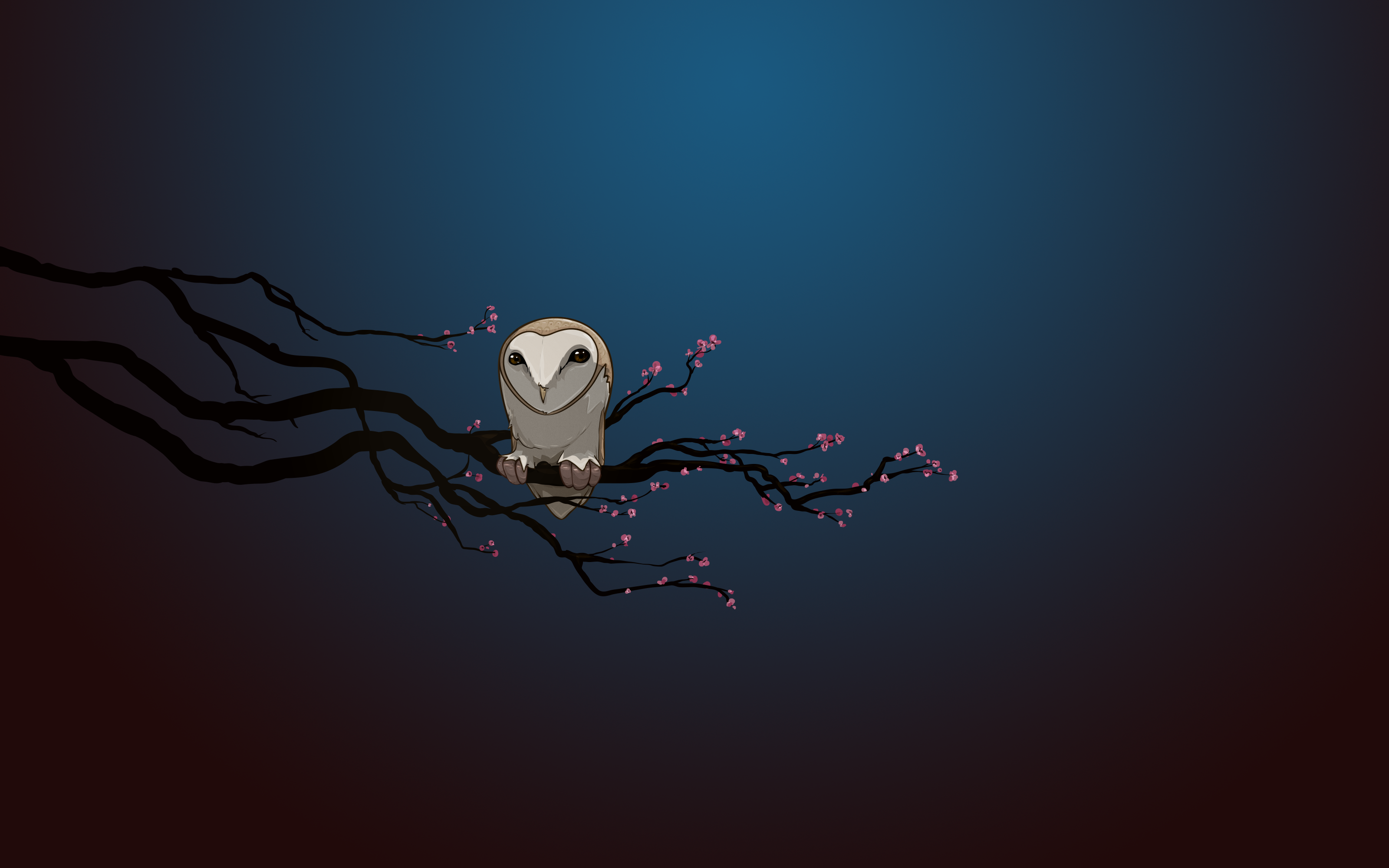 Night Owl Cartoon Wallpaper